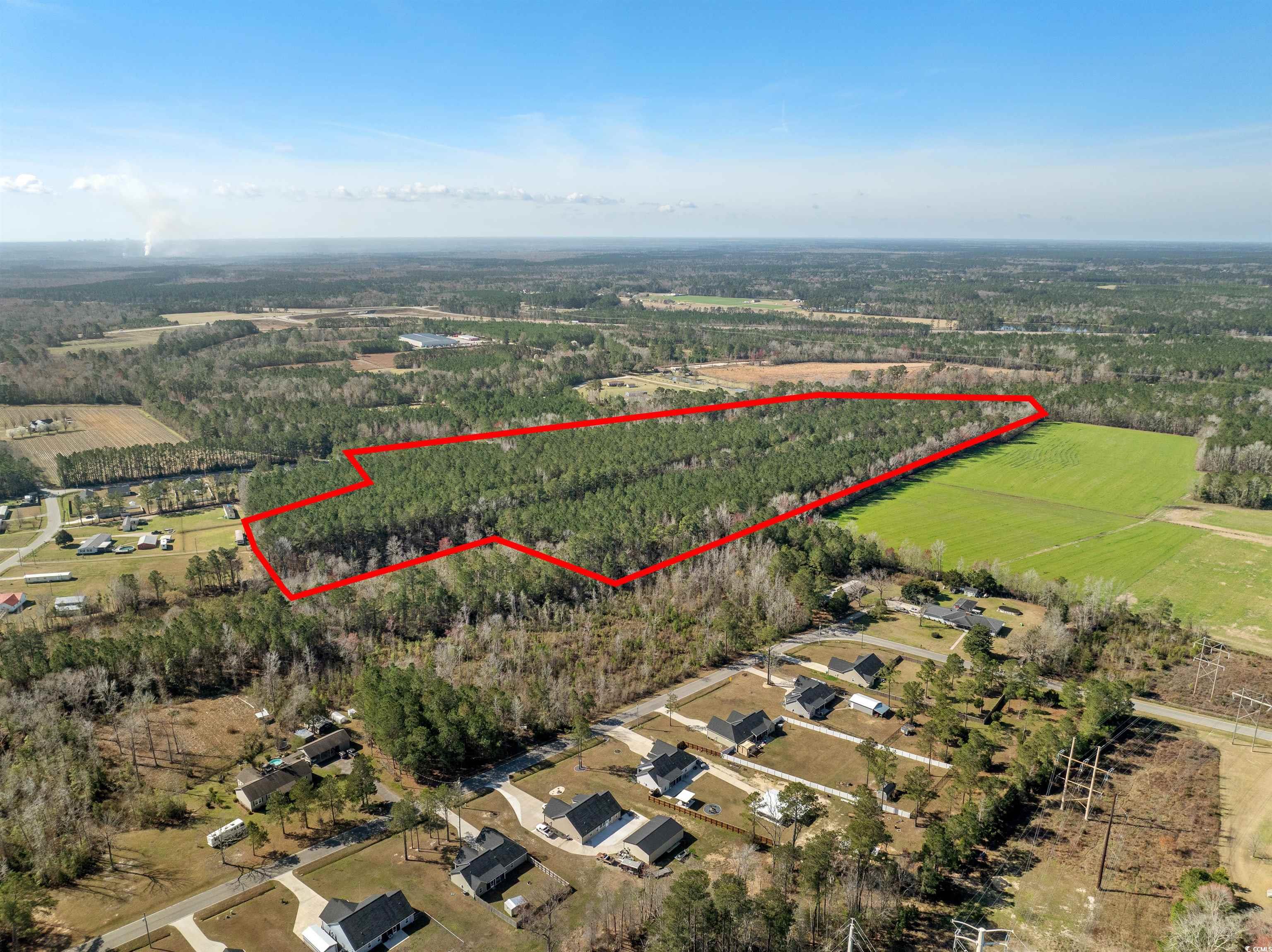 TBD - Lot 2 Daphane Dr., Loris, South Carolina image 4