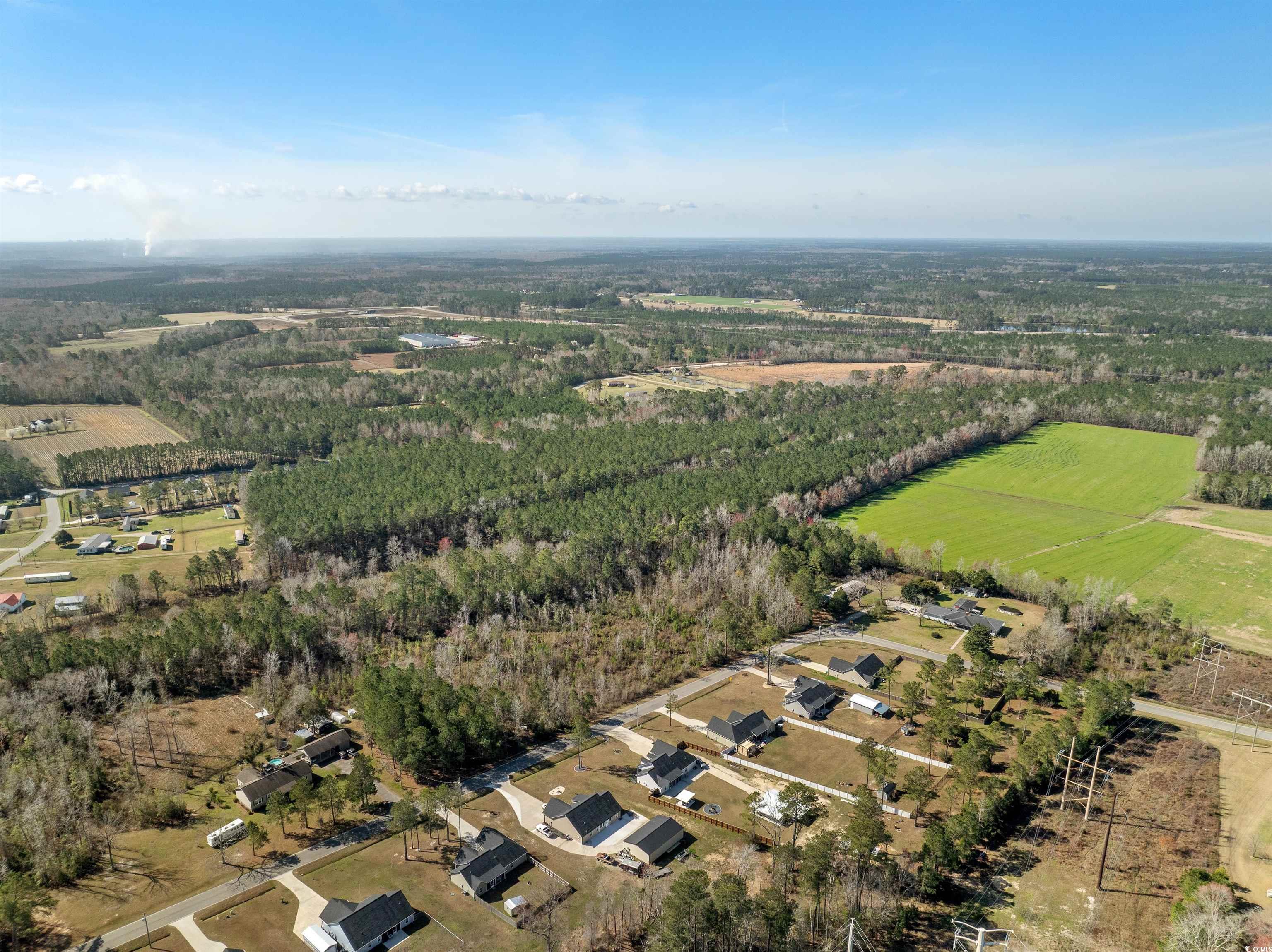 TBD - Lot 2 Daphane Dr., Loris, South Carolina image 5