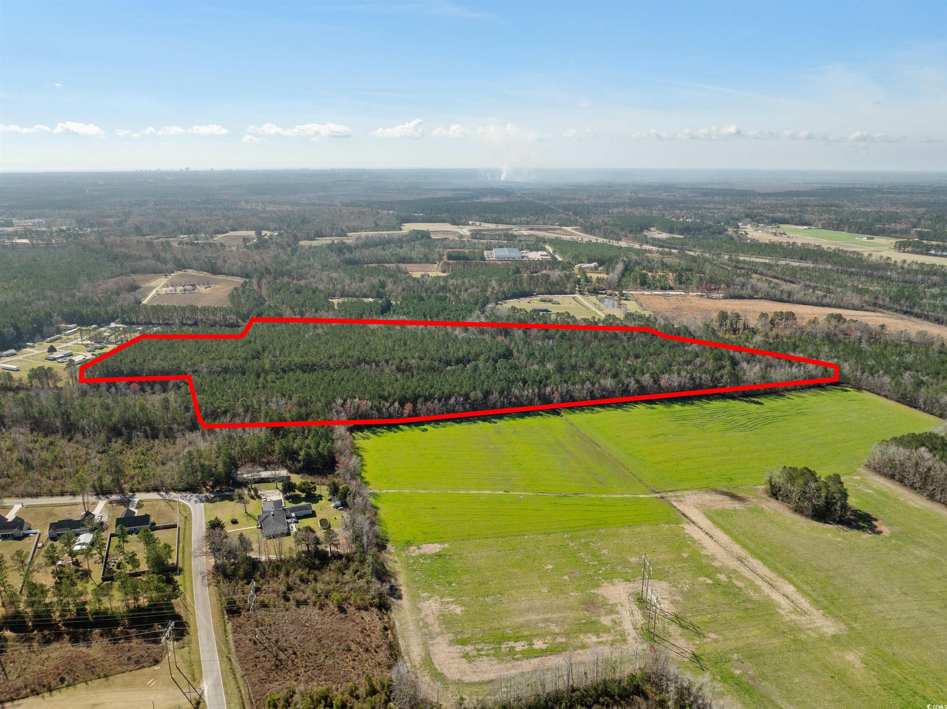 TBD - Lot 2 Daphane Dr., Loris, South Carolina image 6