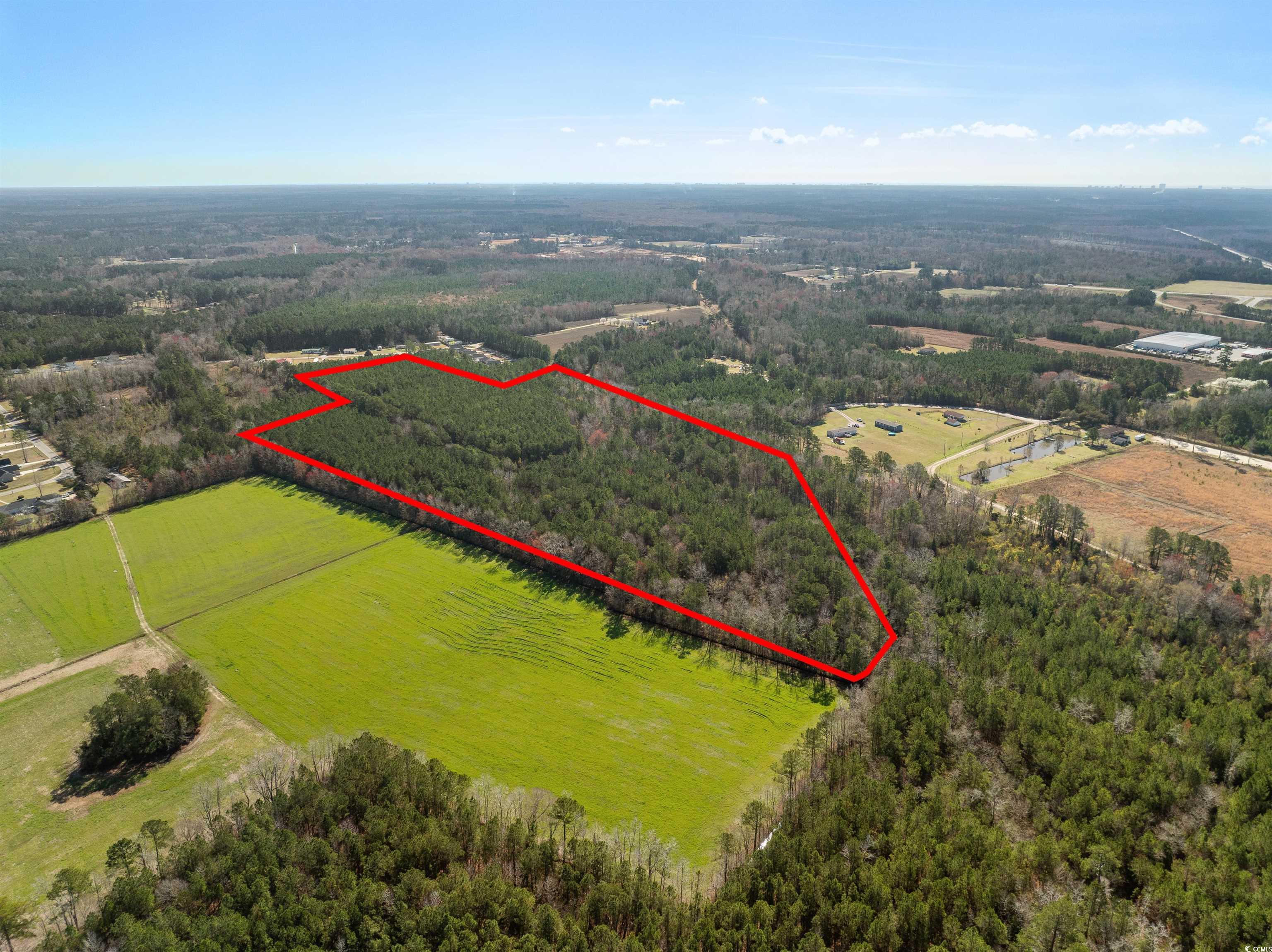 TBD - Lot 2 Daphane Dr., Loris, South Carolina image 8