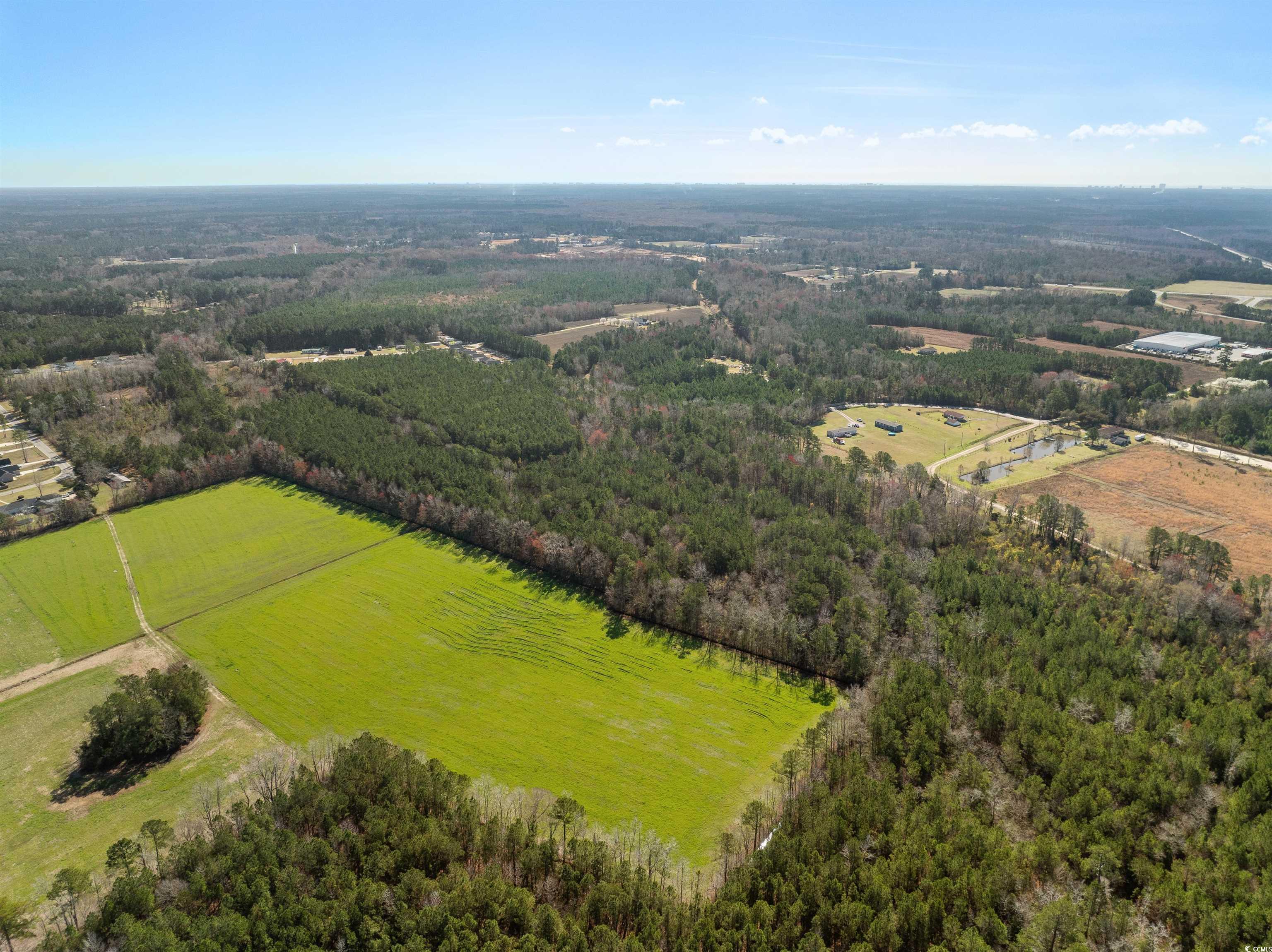 TBD - Lot 2 Daphane Dr., Loris, South Carolina image 9