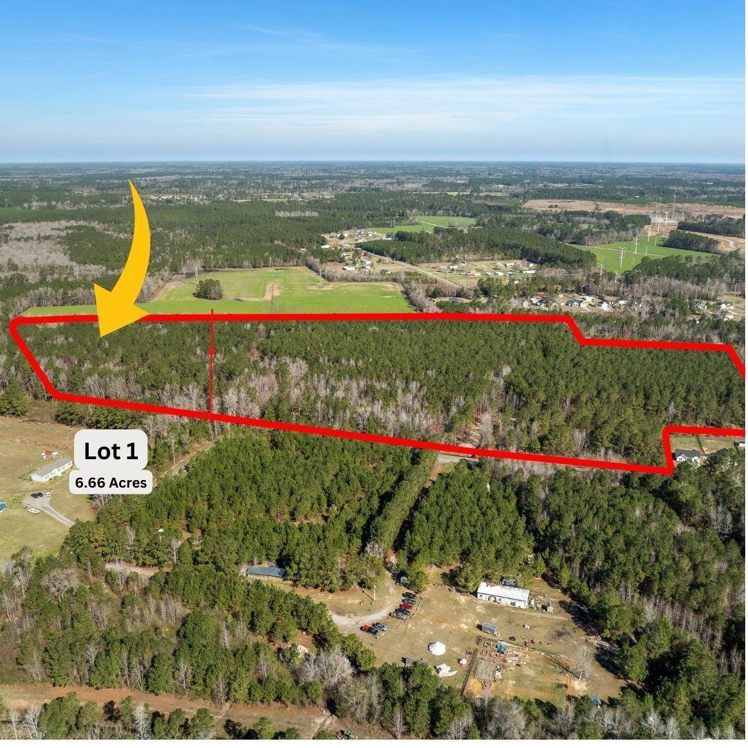 TBD - Lot 1 Daphane Dr., Loris, South Carolina image 1