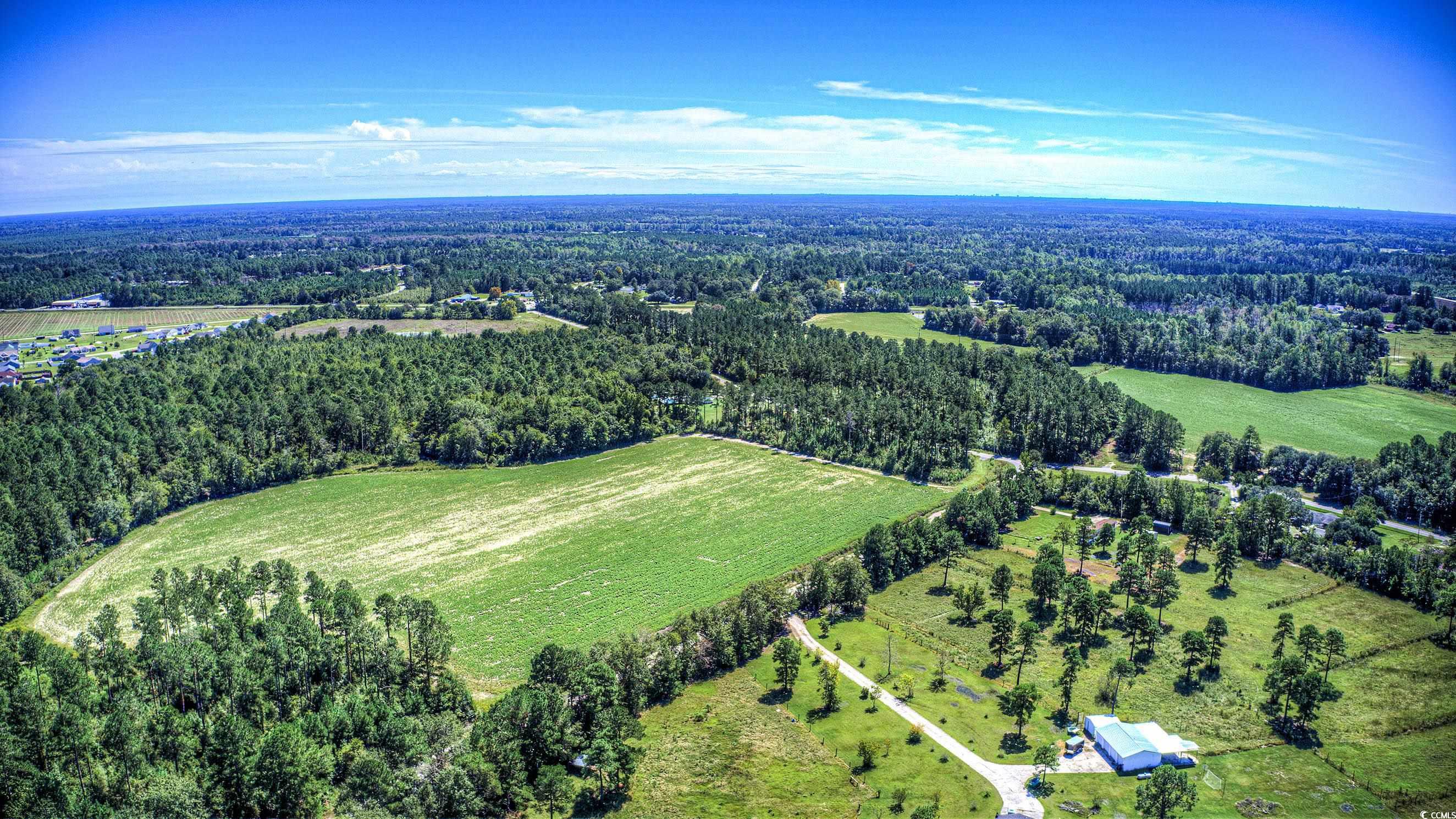 TBD Highway 701, Loris, South Carolina image 2