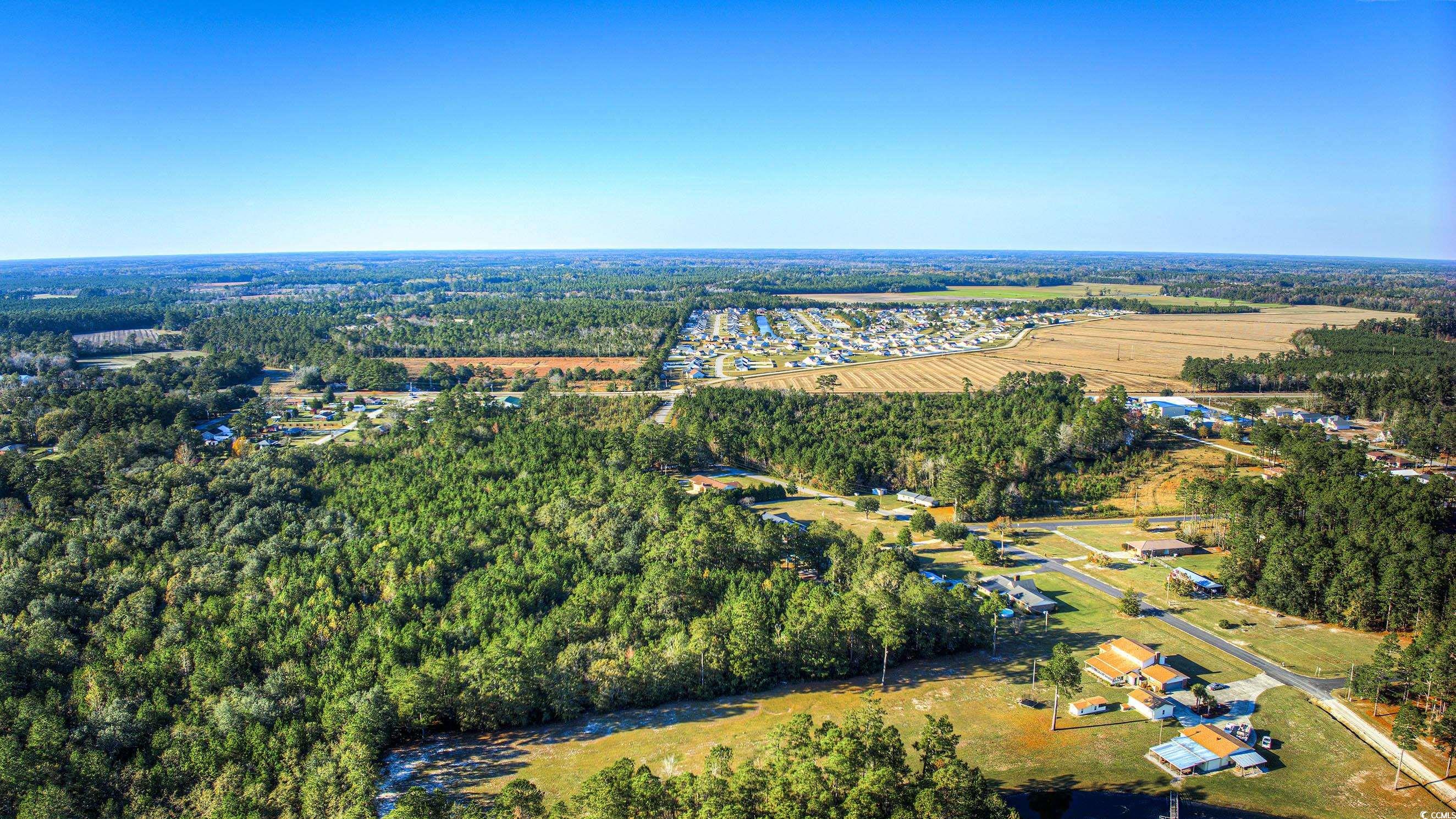 TBD Highway 701, Loris, South Carolina image 2