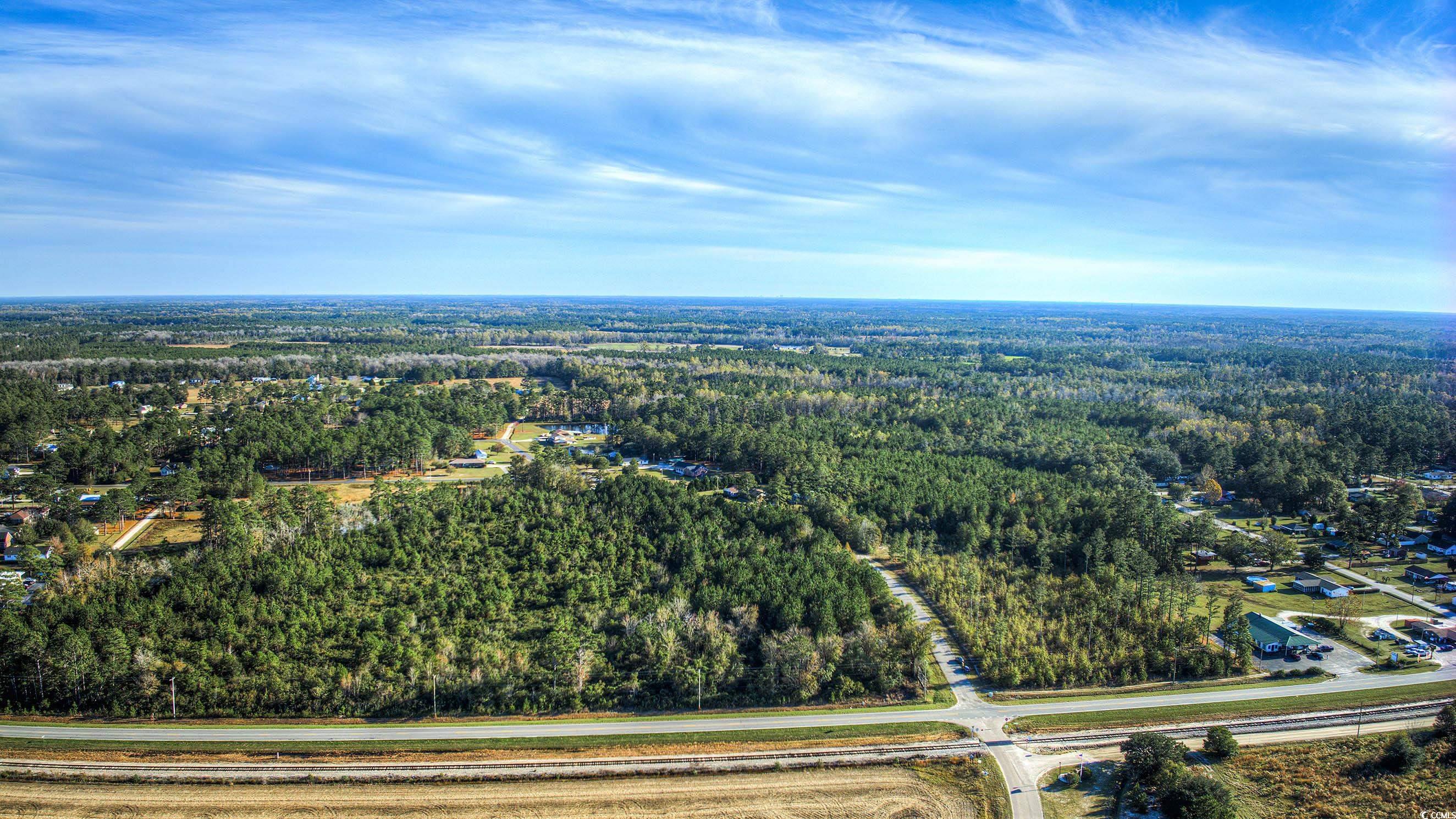 TBD Highway 701, Loris, South Carolina image 3