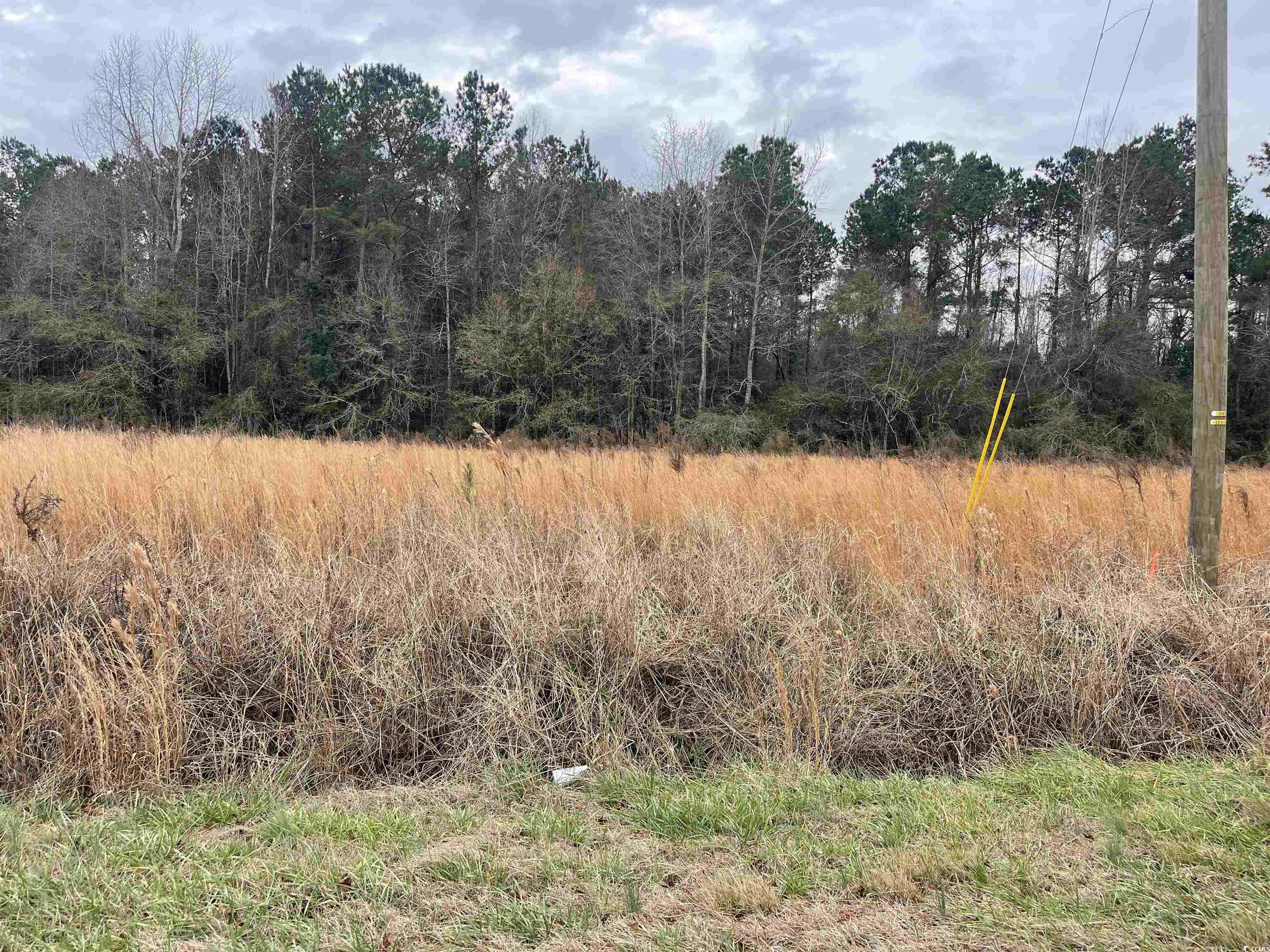TBD Highway 917 Nichols, SC 29581