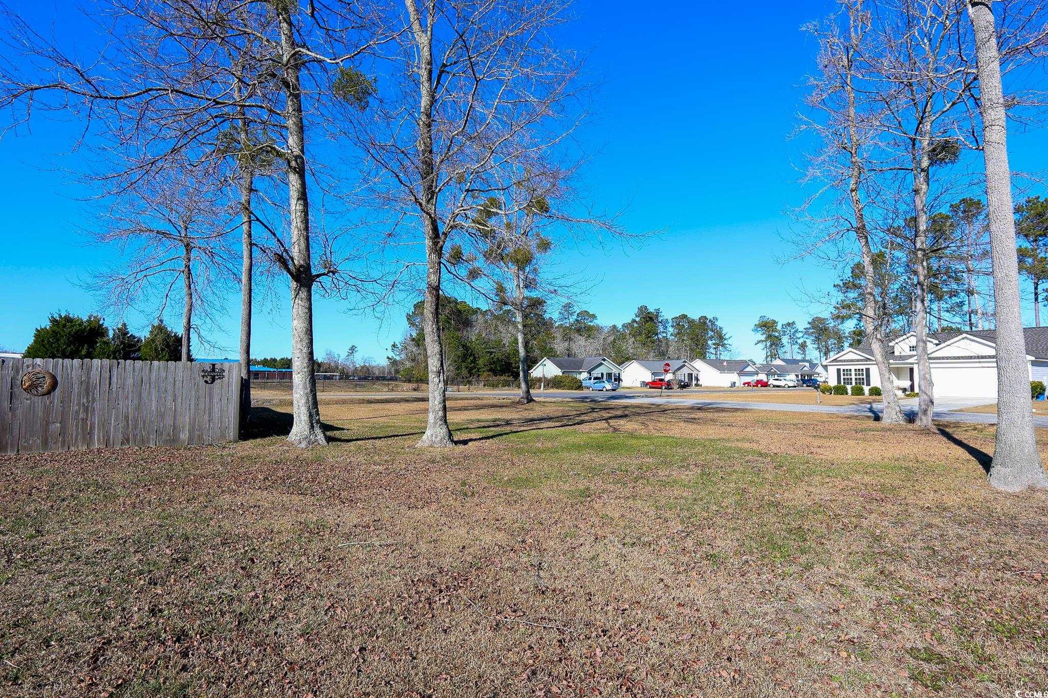 130 Lions Paw Ct., Loris, South Carolina image 24