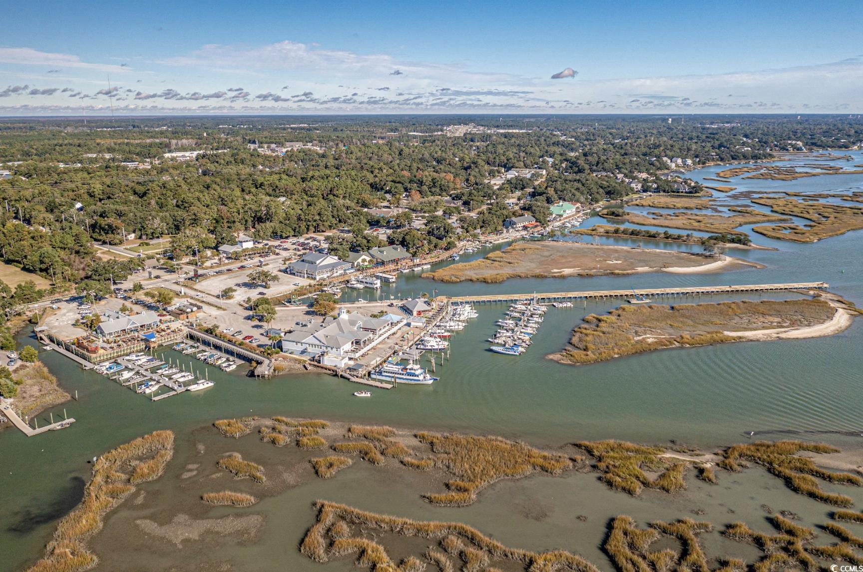 TBD Highway 707, Murrells Inlet, South Carolina image 10