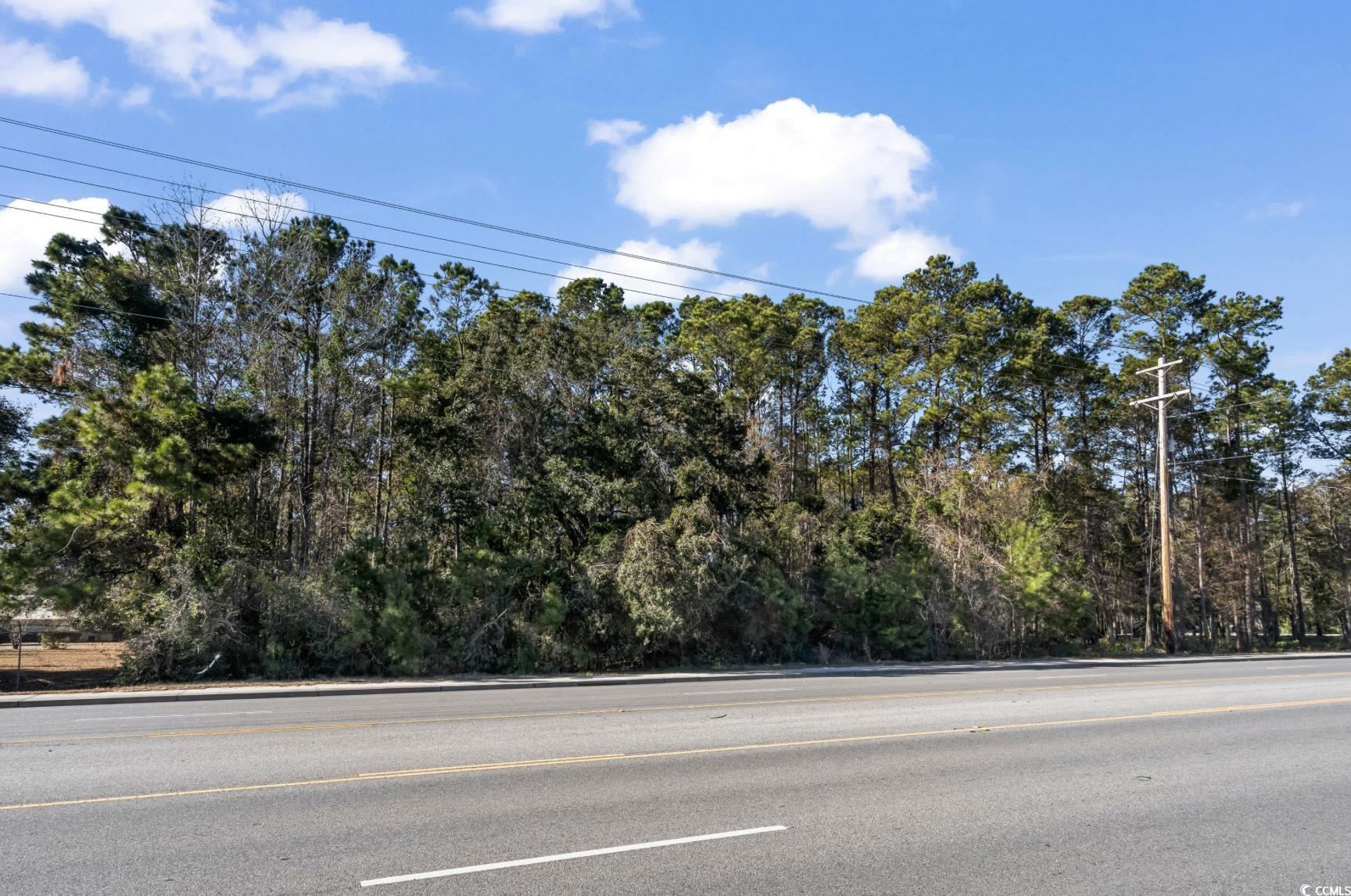 TBD Highway 707, Murrells Inlet, South Carolina image 4