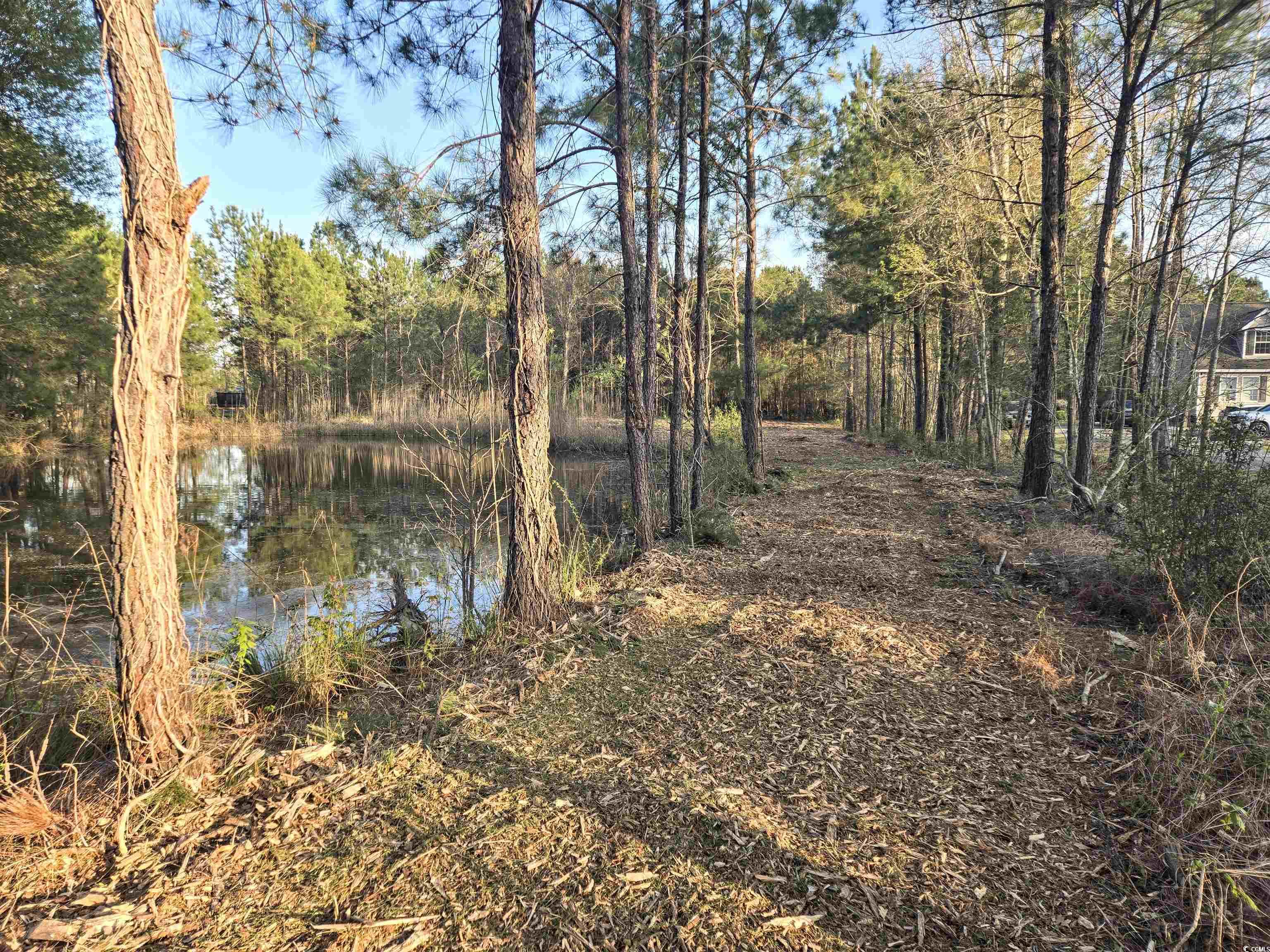 TBD Highway 905, Longs, South Carolina image 3