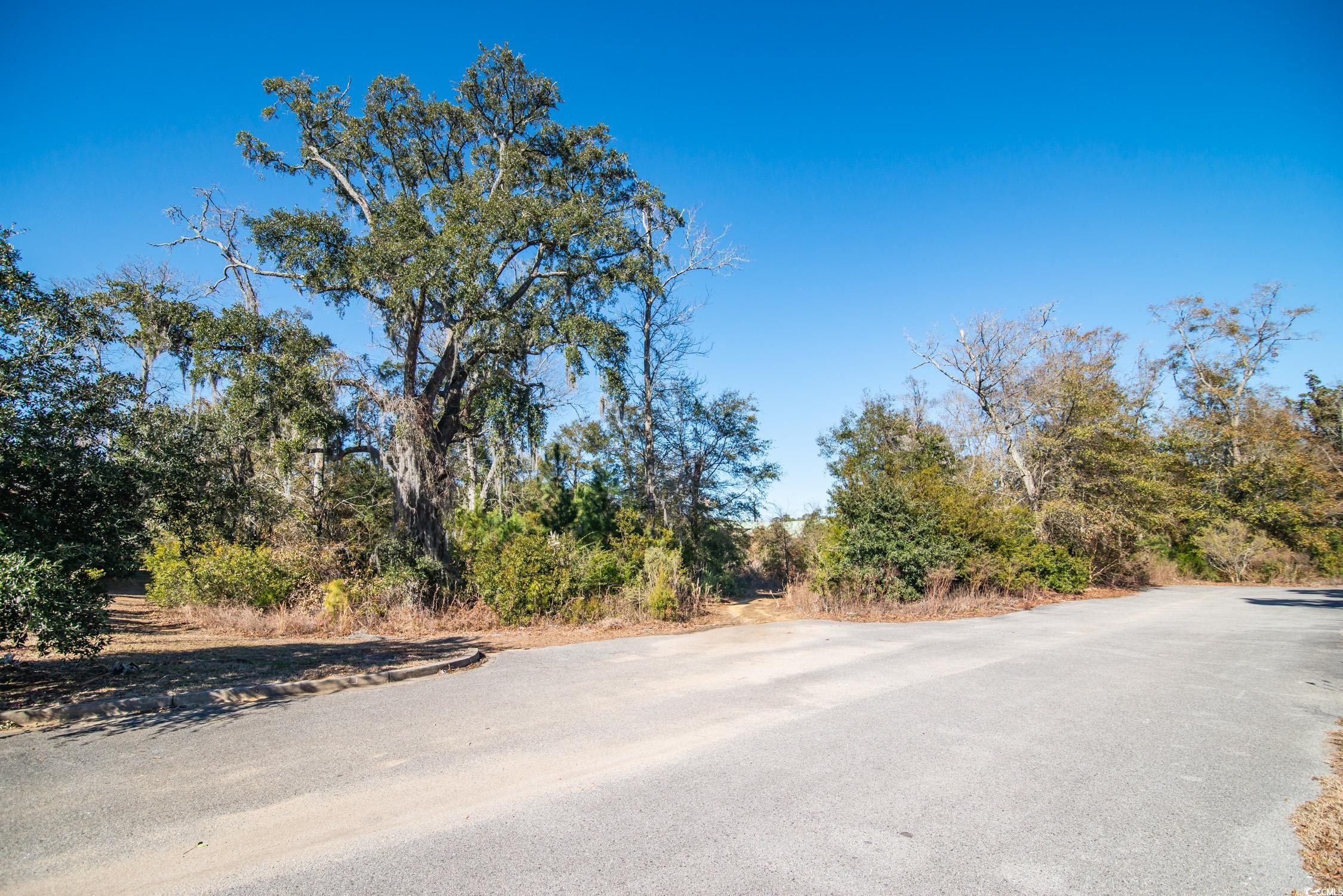 TBD Ocean Hwy., Pawleys Island, South Carolina image 8