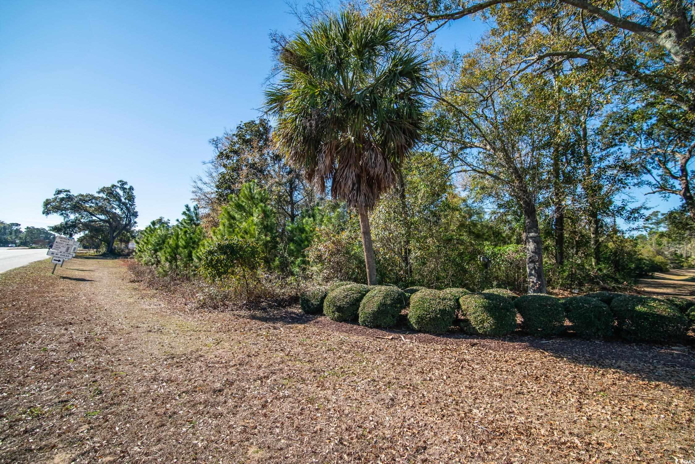 TBD Ocean Hwy., Pawleys Island, South Carolina image 9