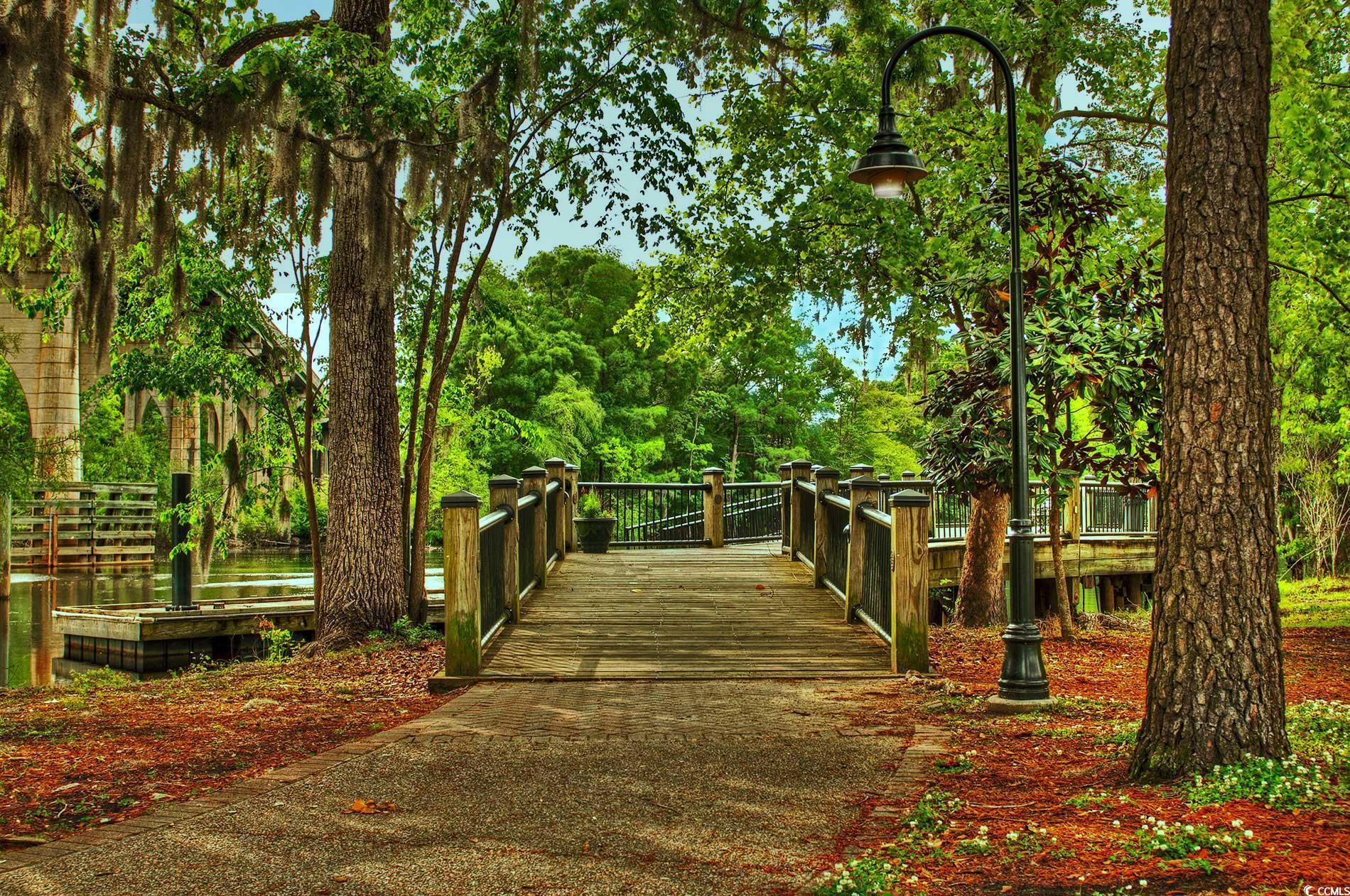 121 Cottage Creek Circle, Conway, South Carolina image 21