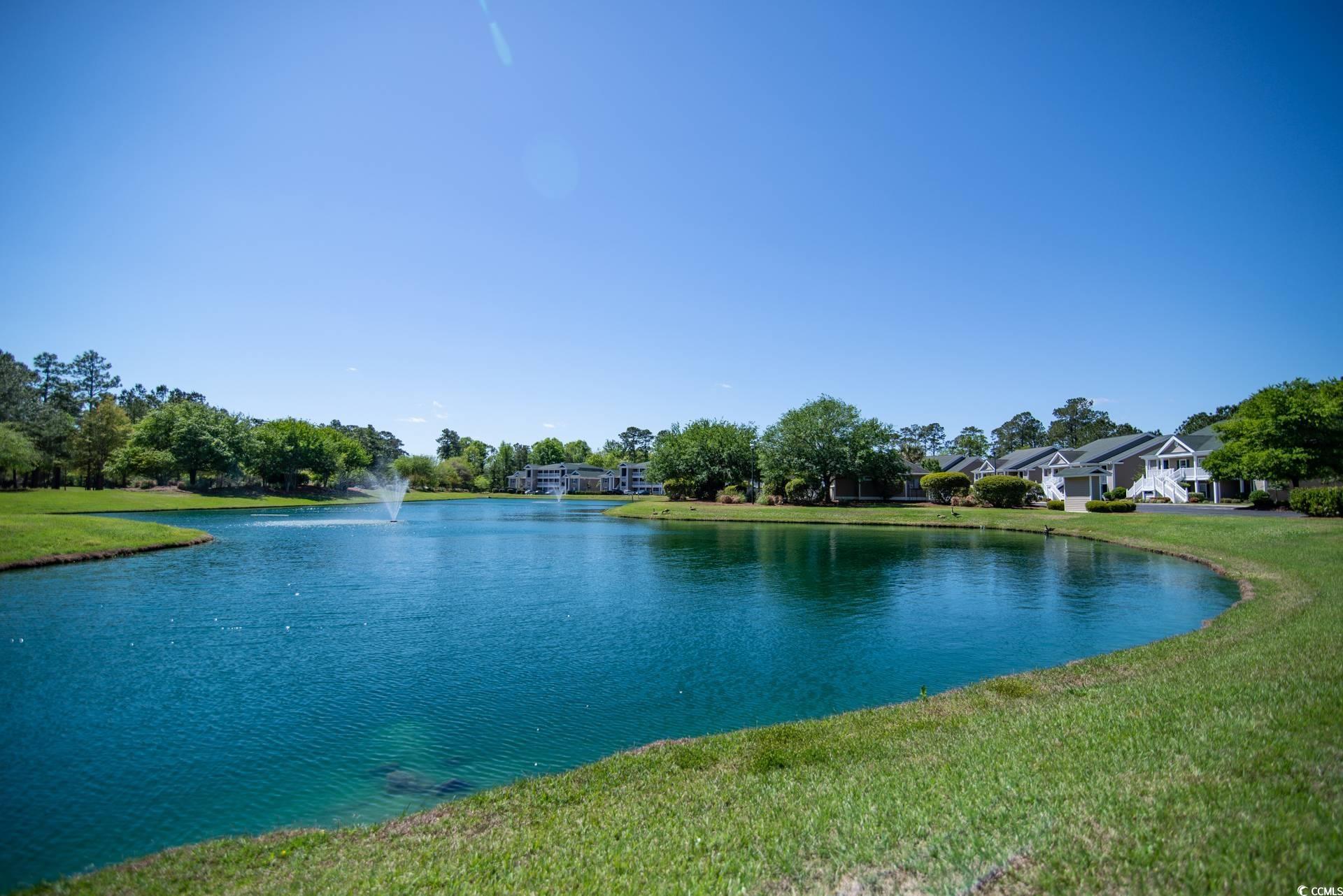 562 Blue Stem Dr. #54D, Pawleys Island, South Carolina image 15