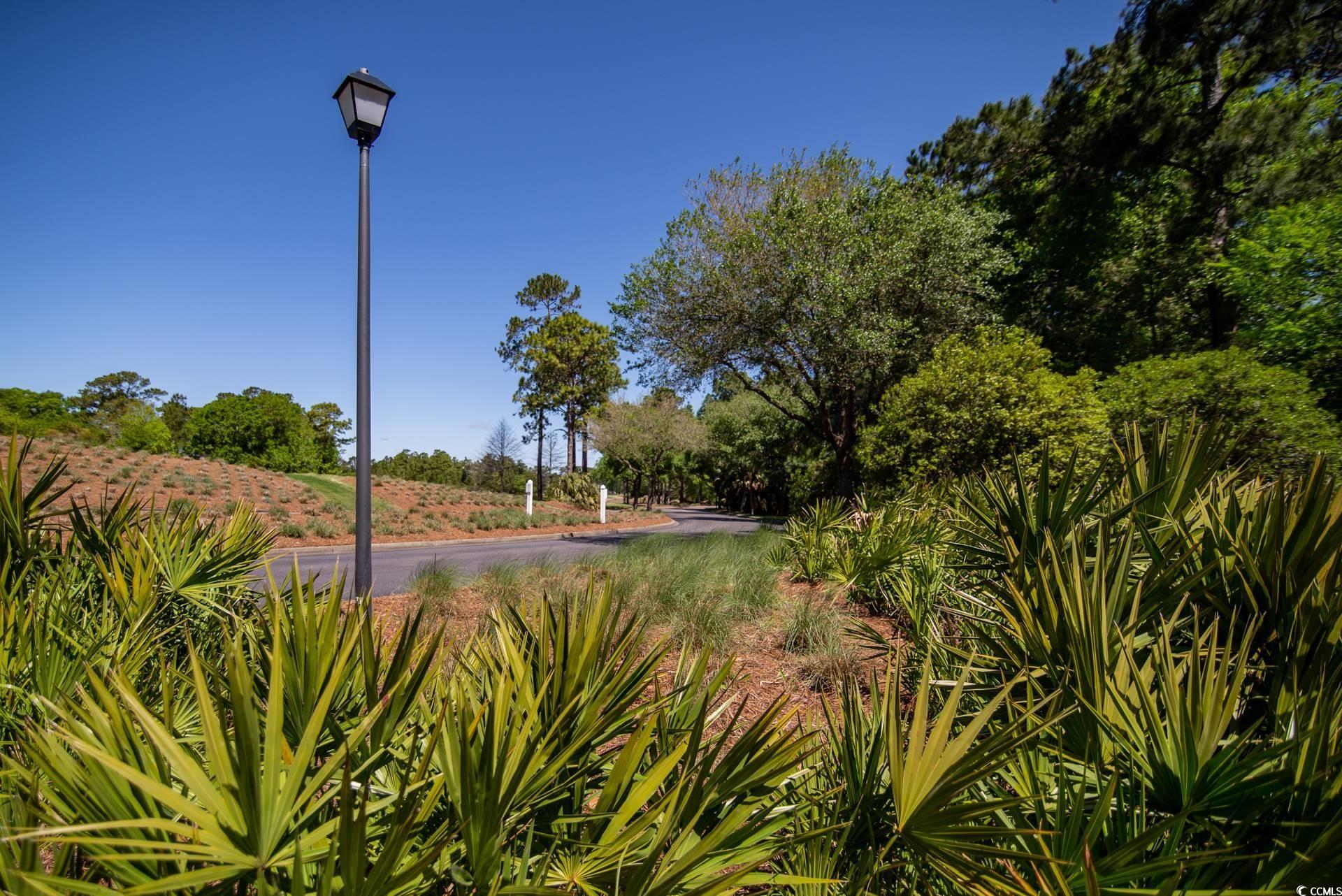 562 Blue Stem Dr. #54D, Pawleys Island, South Carolina image 18