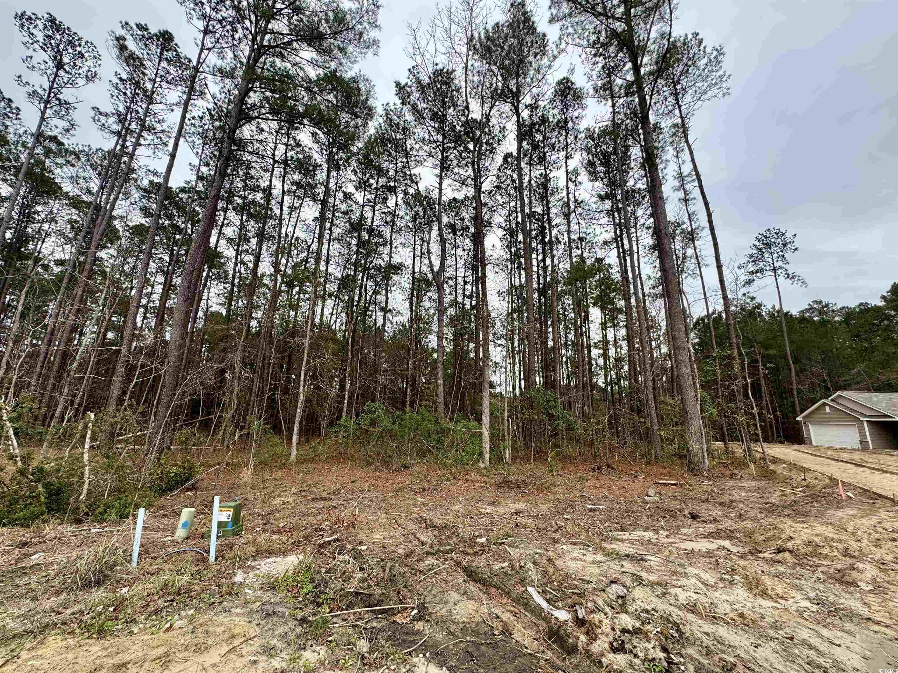 200 Joanna Gillard Ln. Georgetown, SC 29440