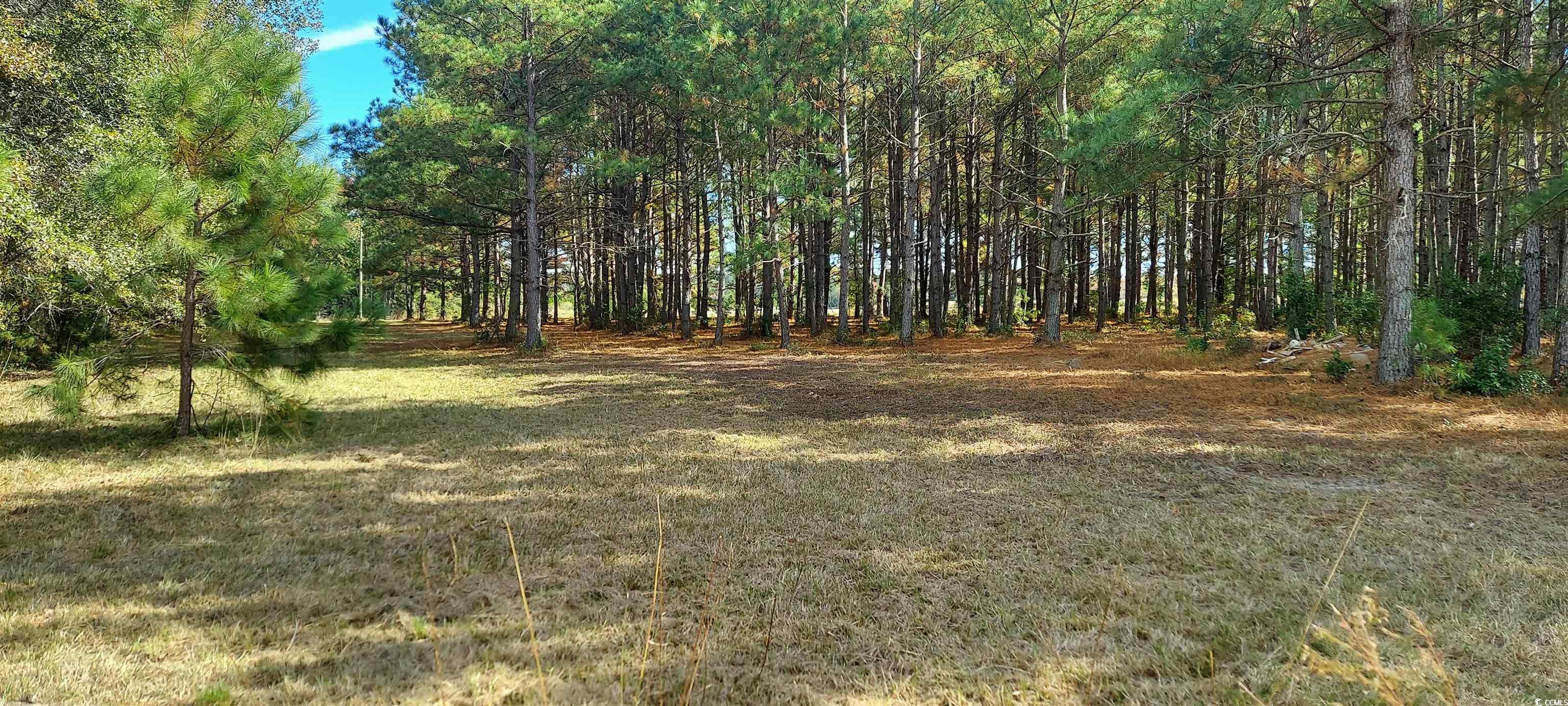 3025 Fowler Rd., Loris, South Carolina image 1