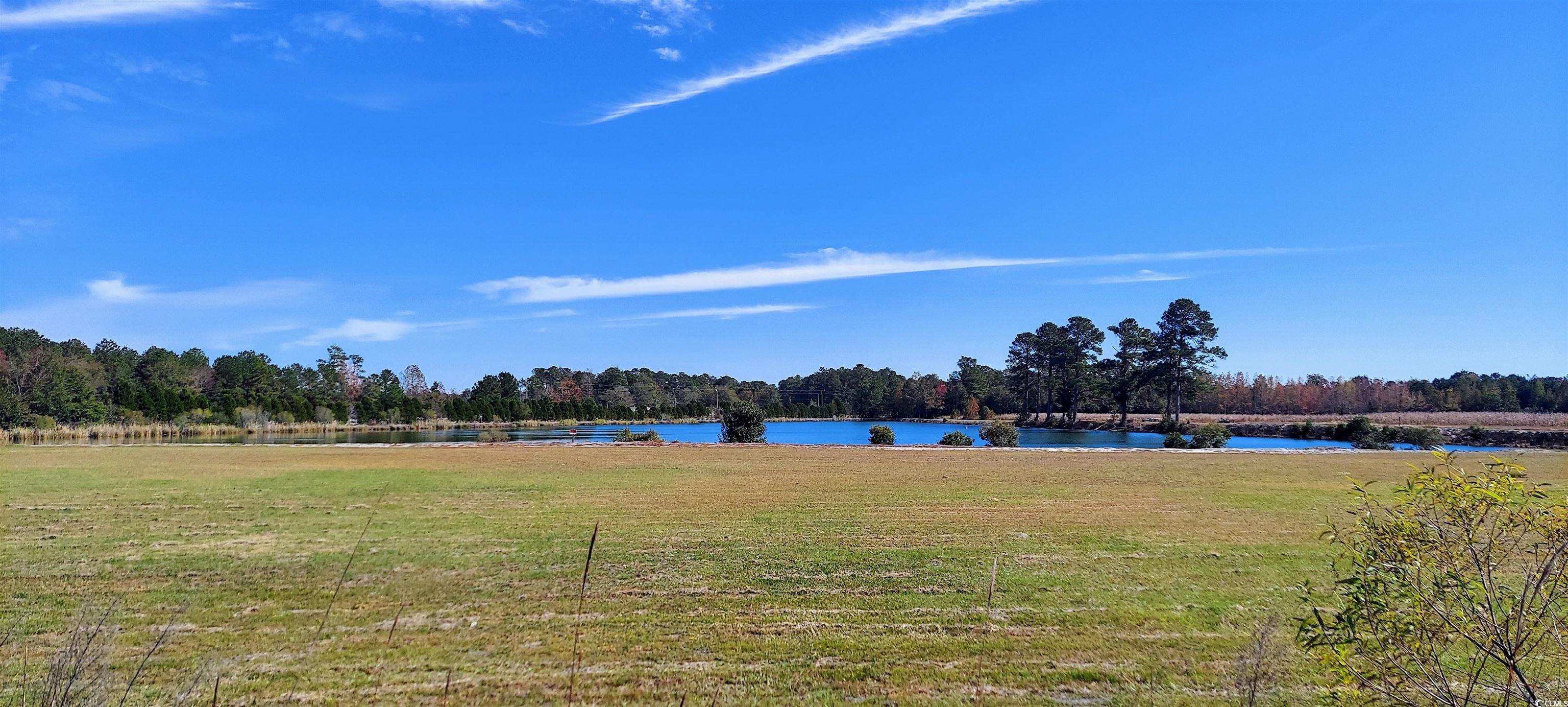 3025 Fowler Rd., Loris, South Carolina image 2