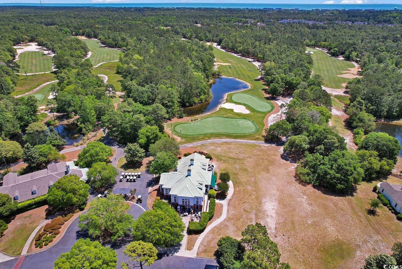 126 Cottage Ct., Pawleys Island, South Carolina image 37