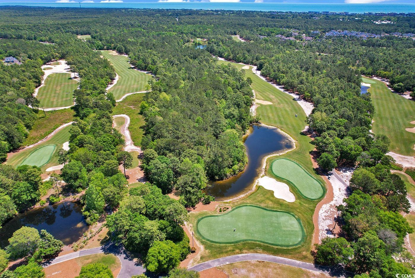 126 Cottage Ct., Pawleys Island, South Carolina image 38