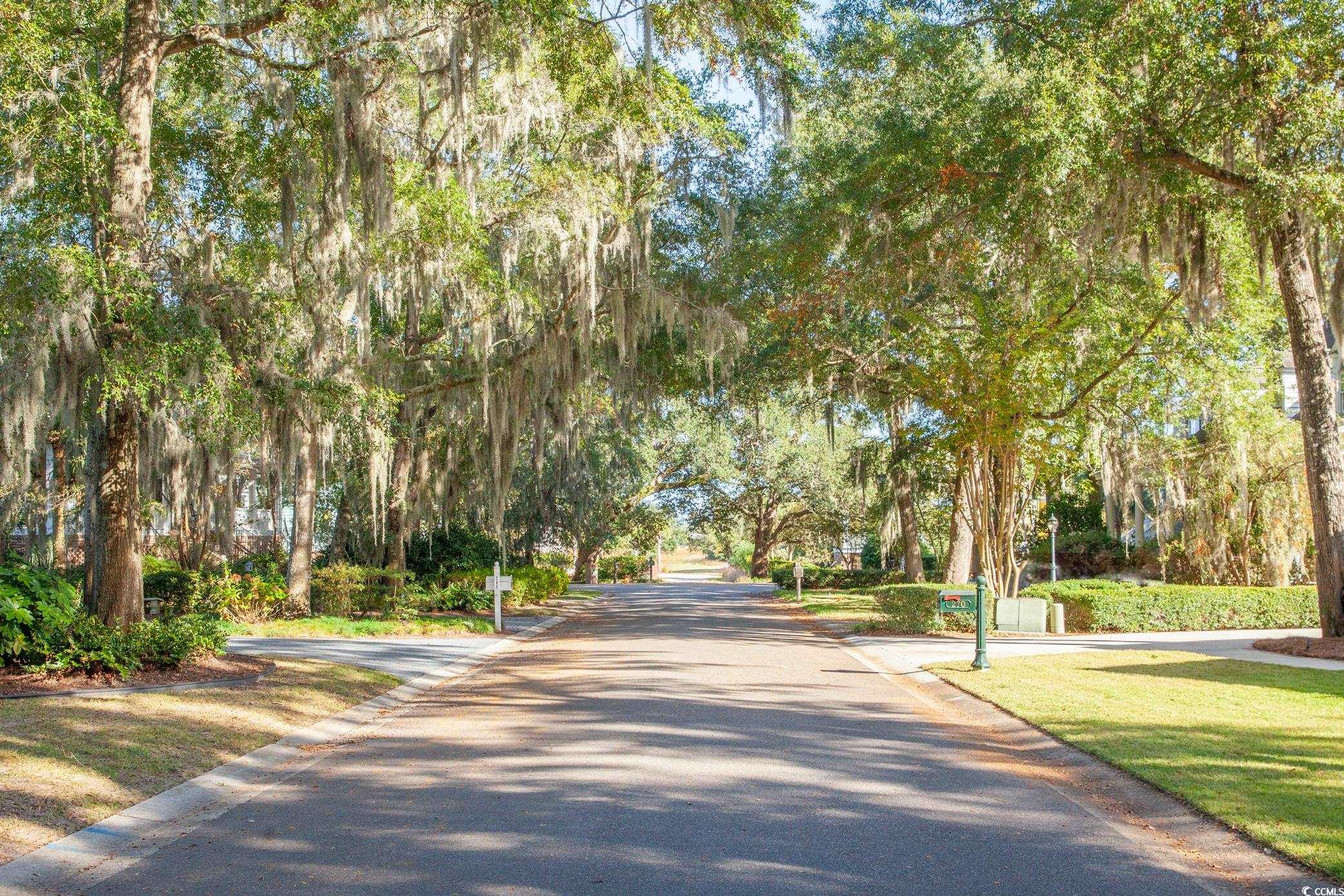 270 Widgeon Dr., Pawleys Island, South Carolina image 7