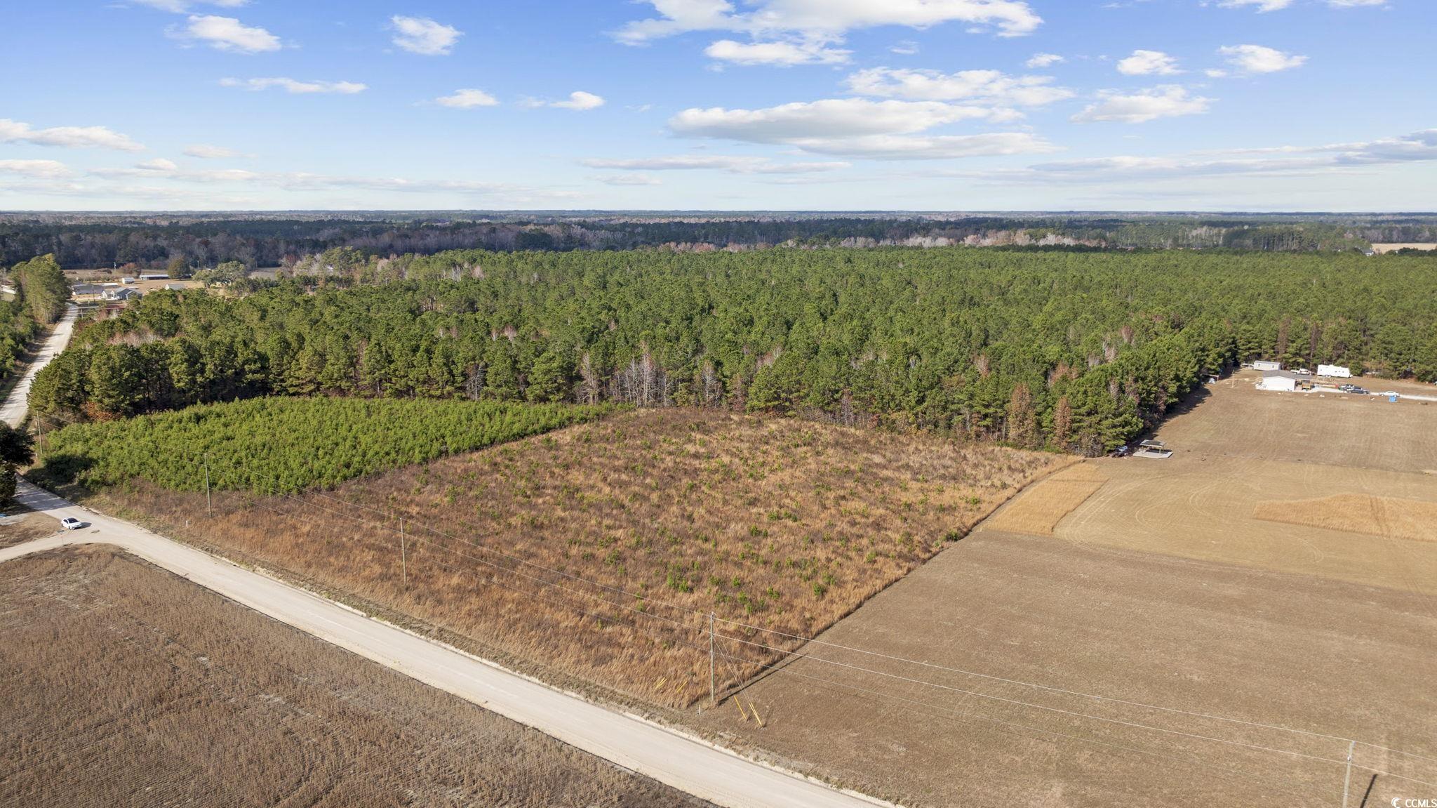 Lot 2 W G Rd., Conway, South Carolina image 10