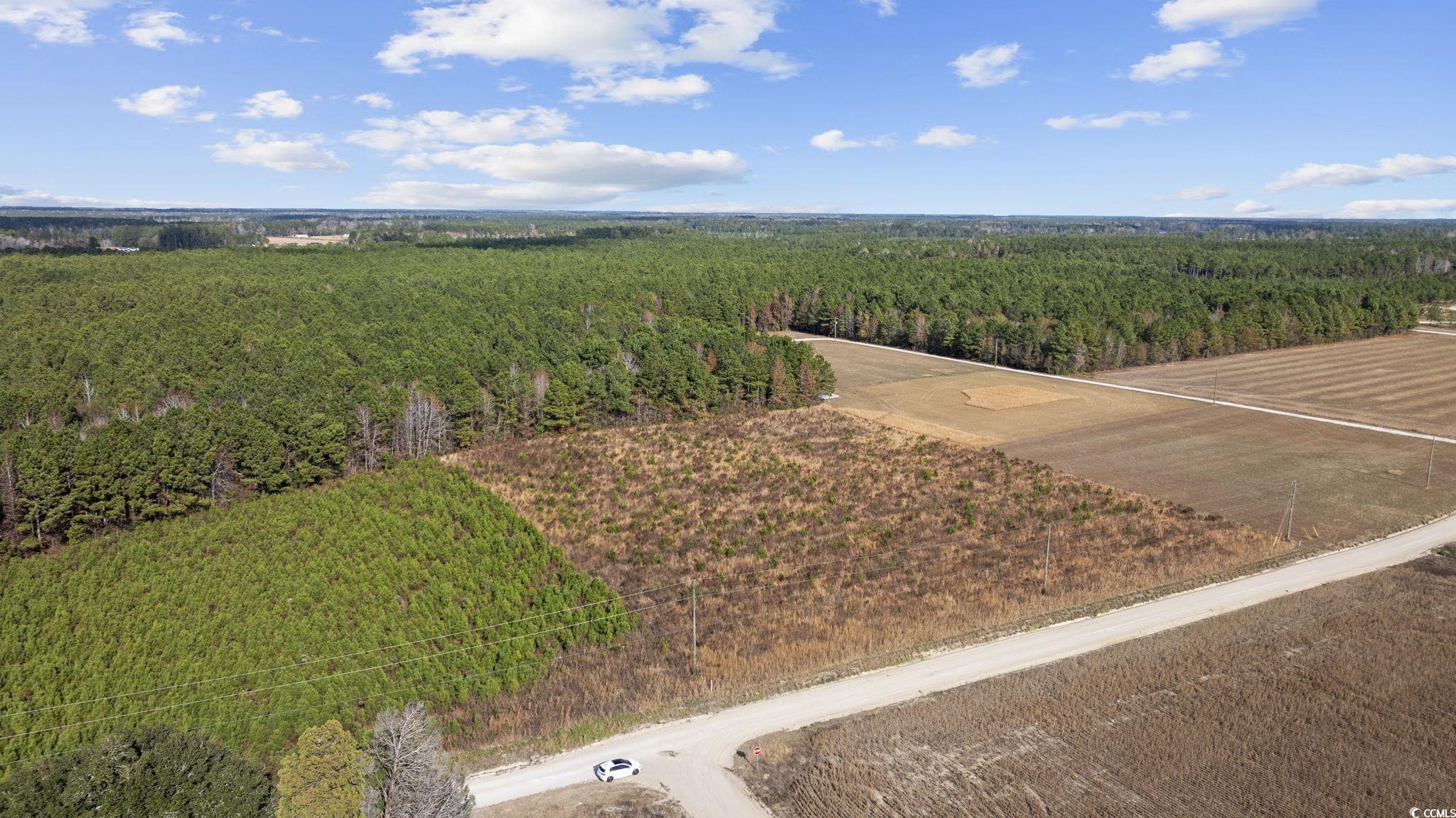 Lot 2 W G Rd., Conway, South Carolina image 11