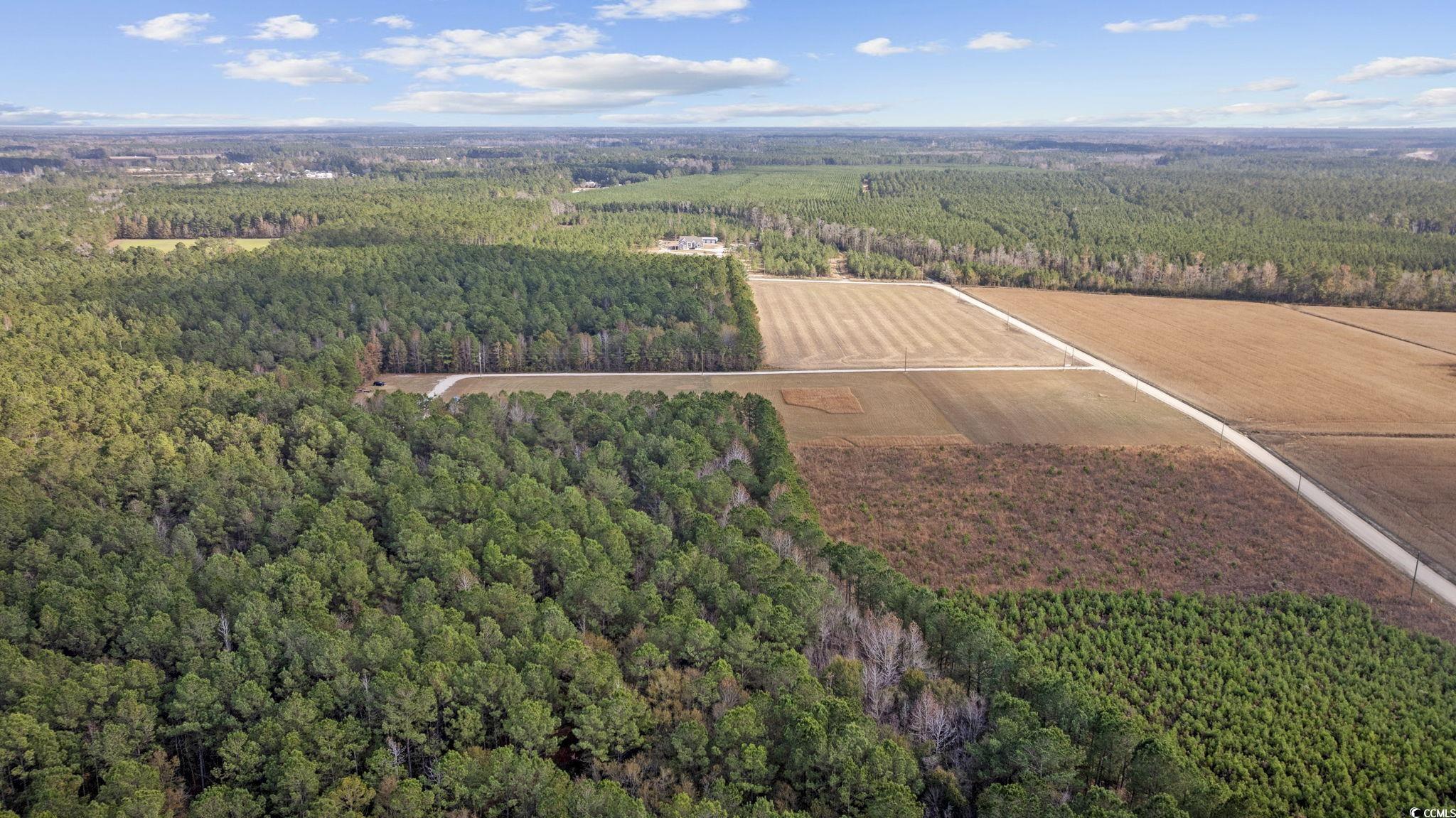 Lot 2 W G Rd., Conway, South Carolina image 7