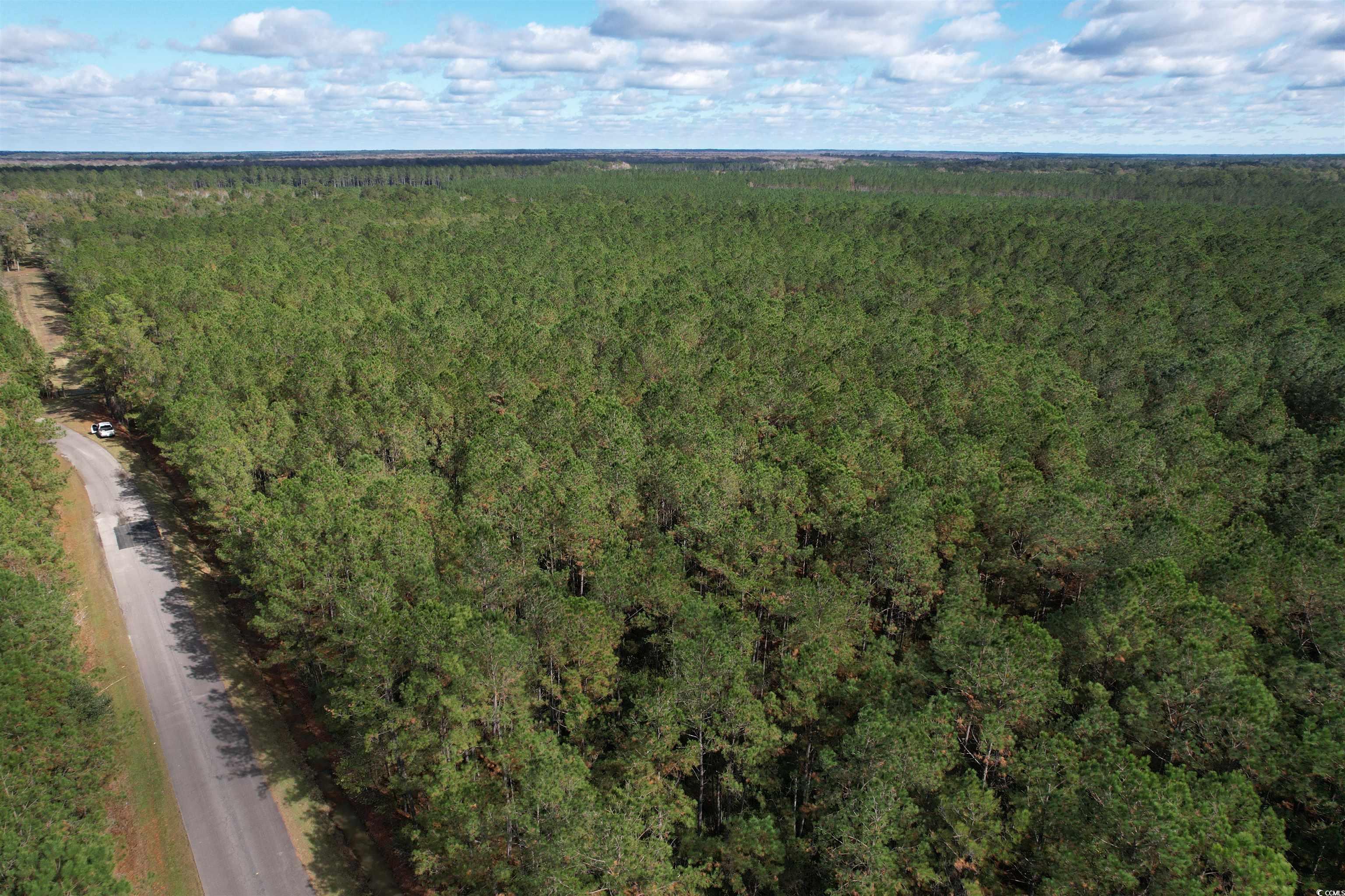 26 Acres-TBD Puncheon Creek Dr., Andrews, South Carolina image 10