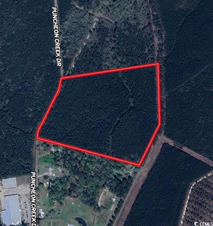 26 Acres-TBD Puncheon Creek Dr., Andrews, South Carolina image 13