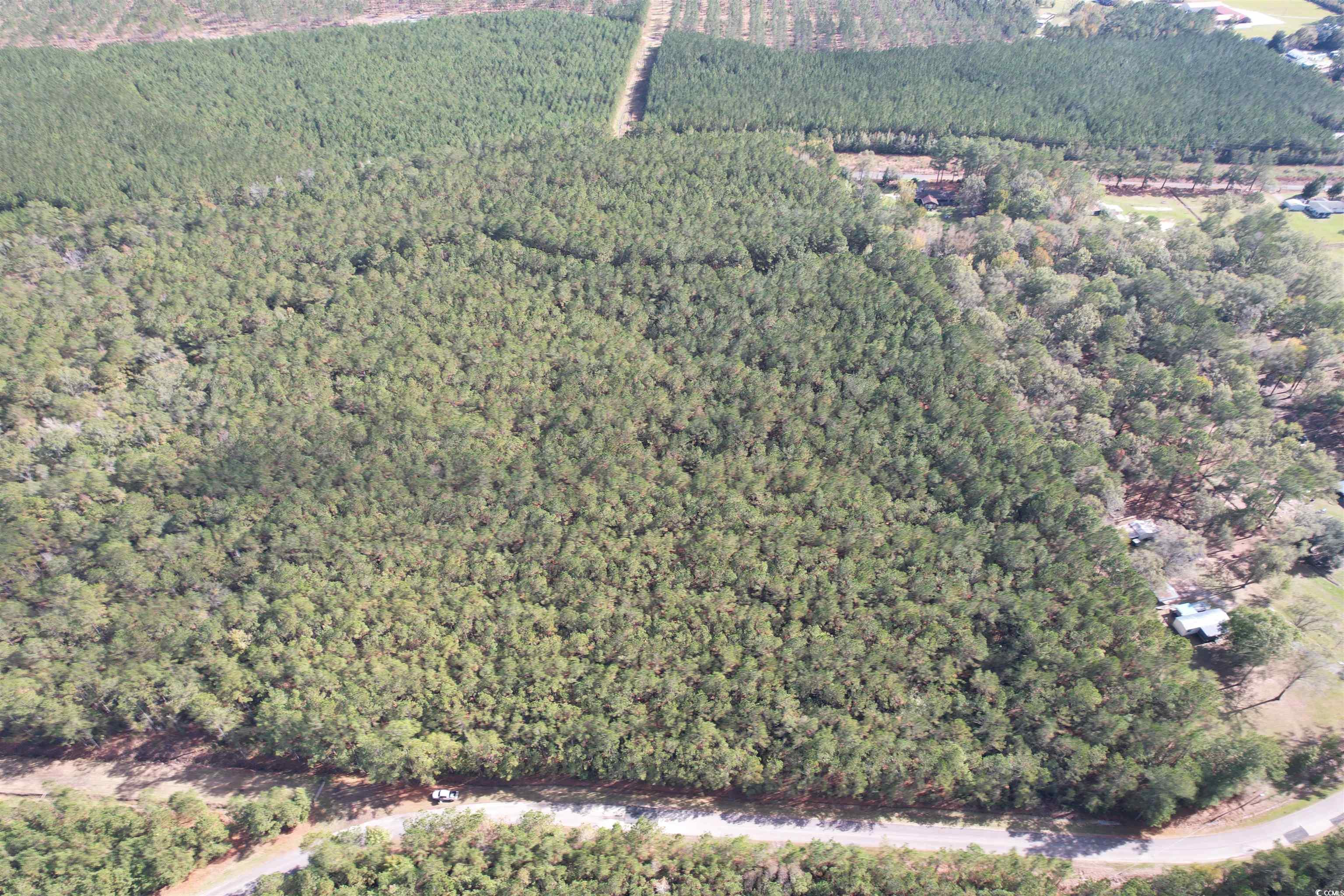 26 Acres-TBD Puncheon Creek Dr., Andrews, South Carolina image 4