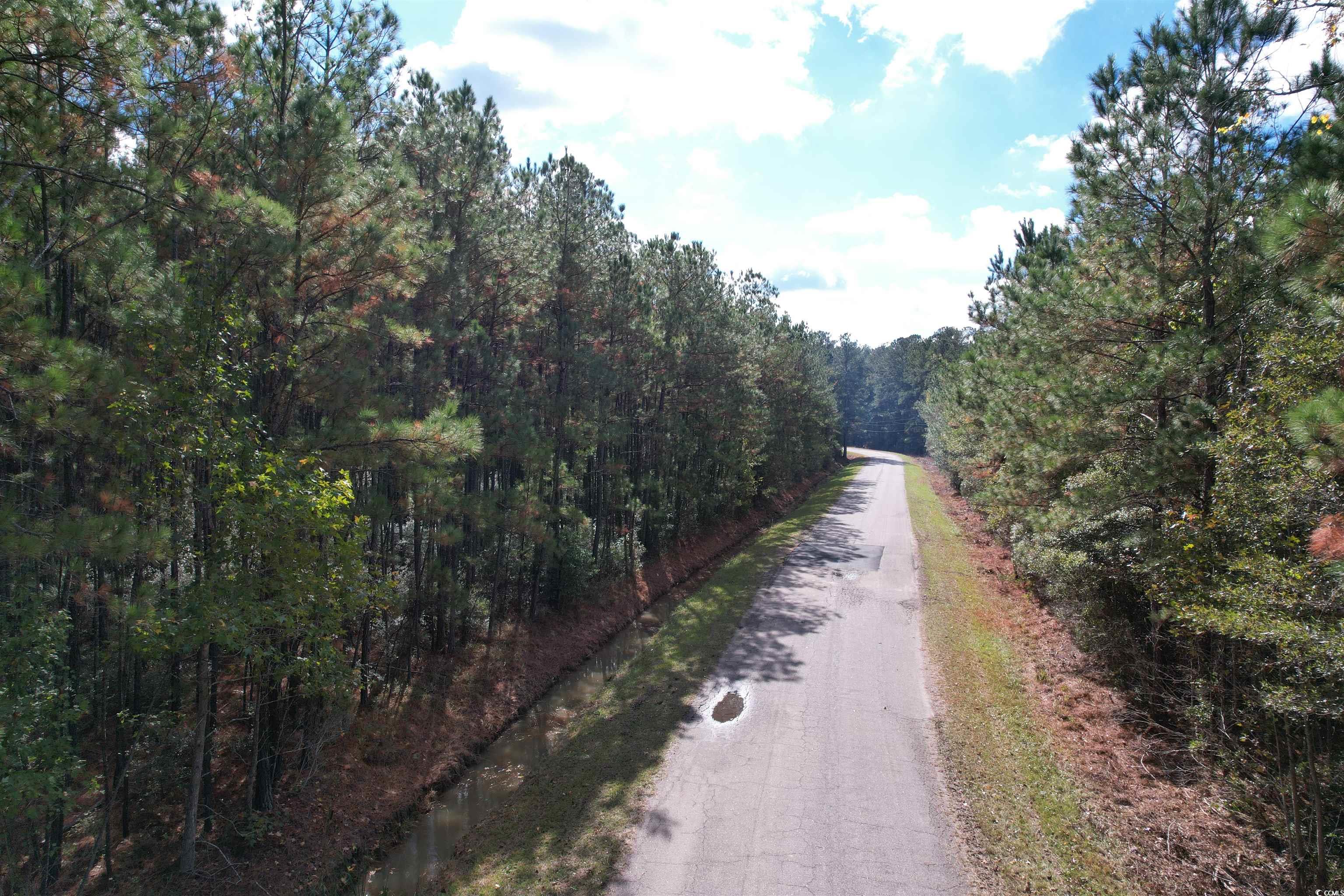 26 Acres-TBD Puncheon Creek Dr., Andrews, South Carolina image 9