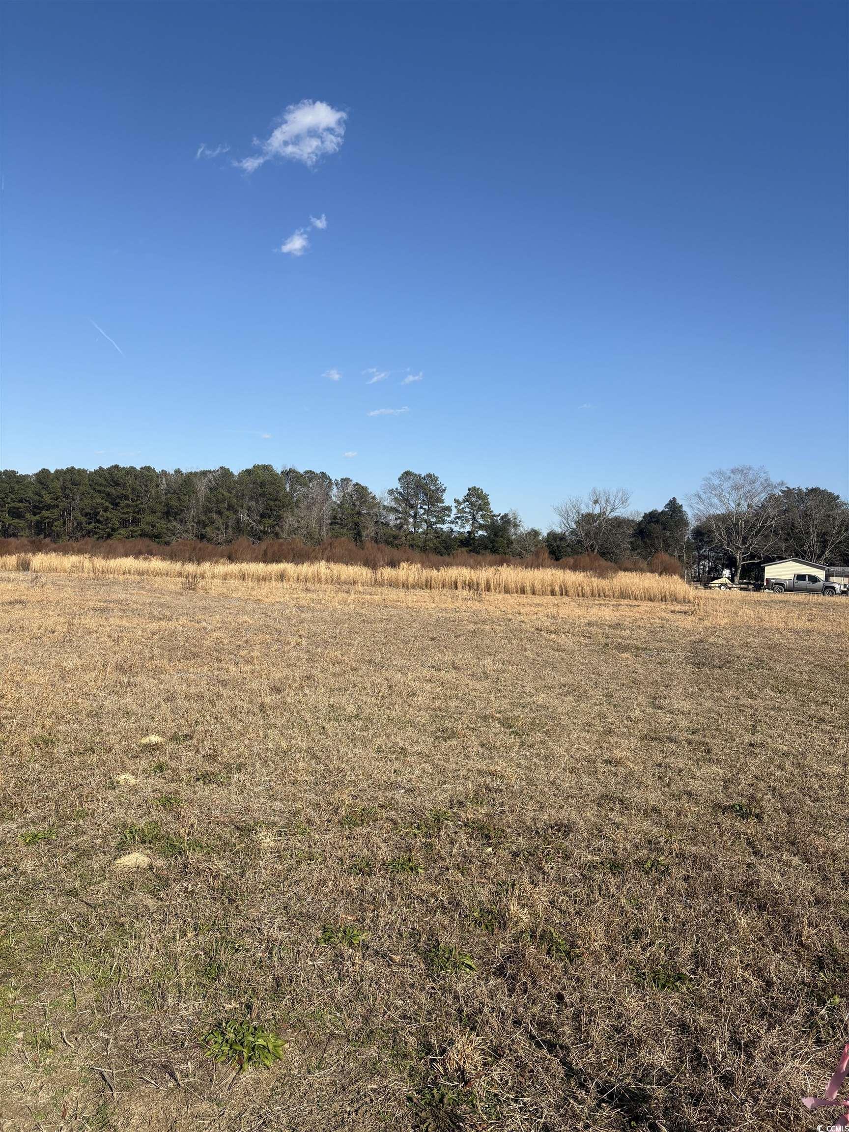 TBD Lot 1 Jewel Ln., Conway, South Carolina image 1