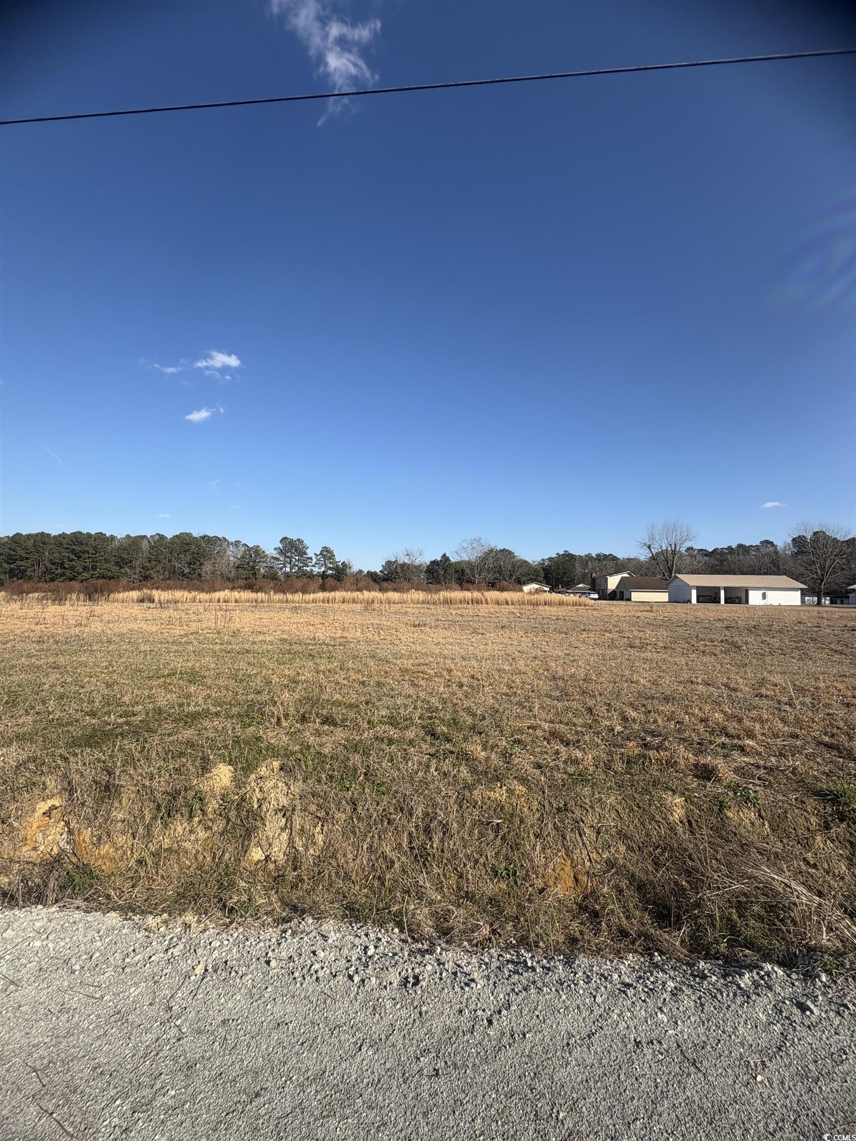 TBD Lot 1 Jewel Ln., Conway, South Carolina image 2