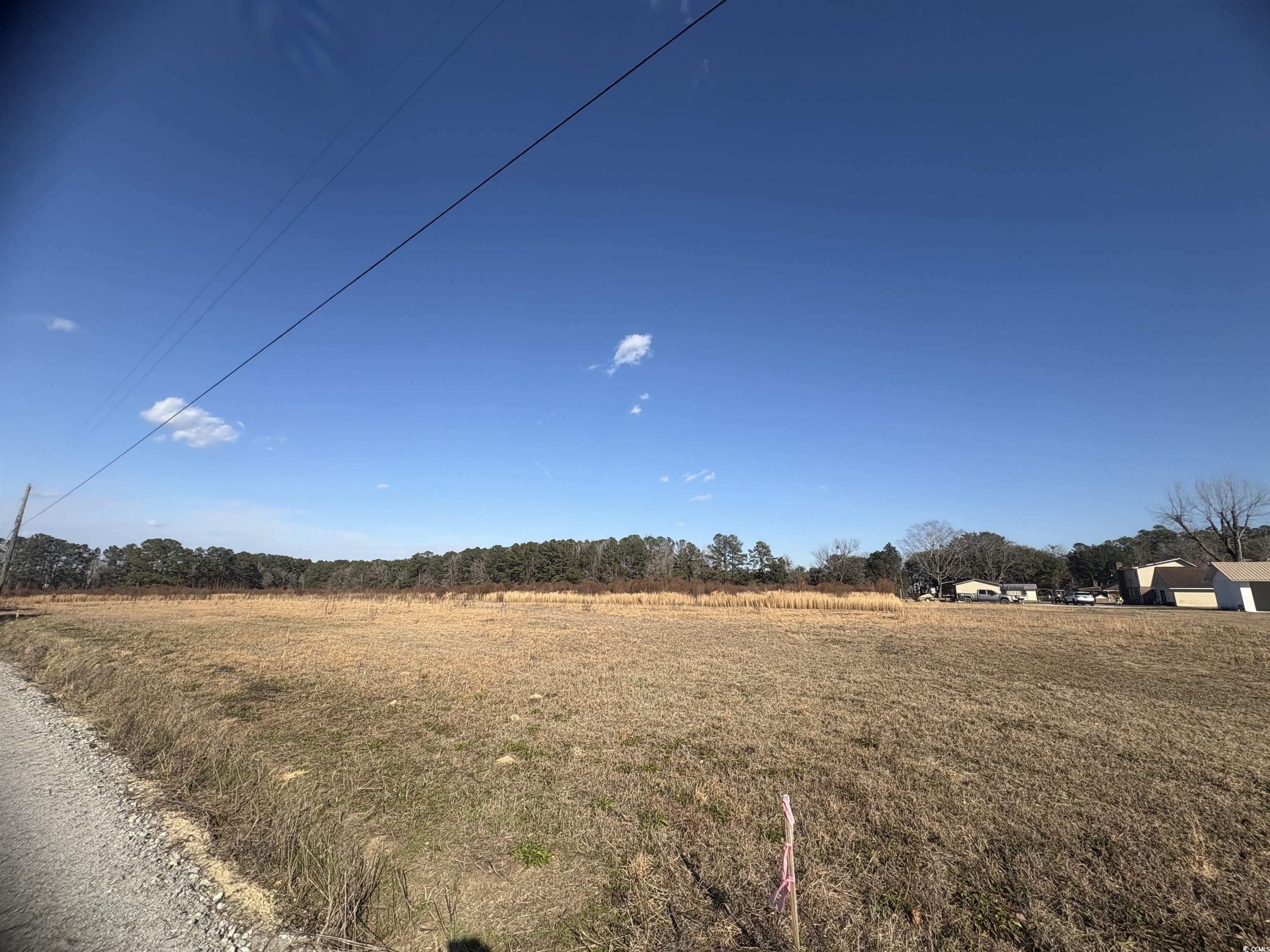 TBD Lot 1 Jewel Ln., Conway, South Carolina image 3