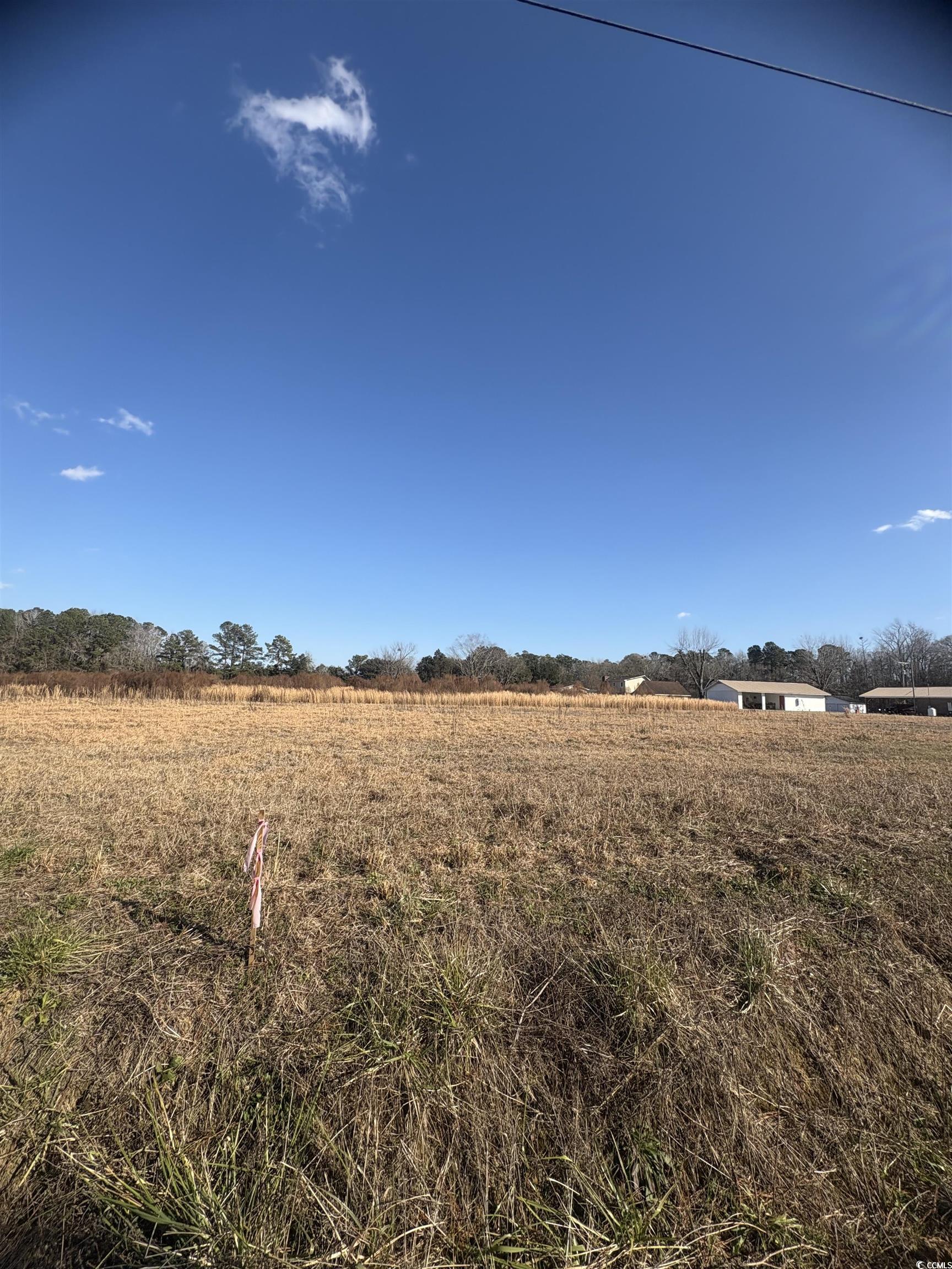 TBD Lot 1 Jewel Ln., Conway, South Carolina image 4