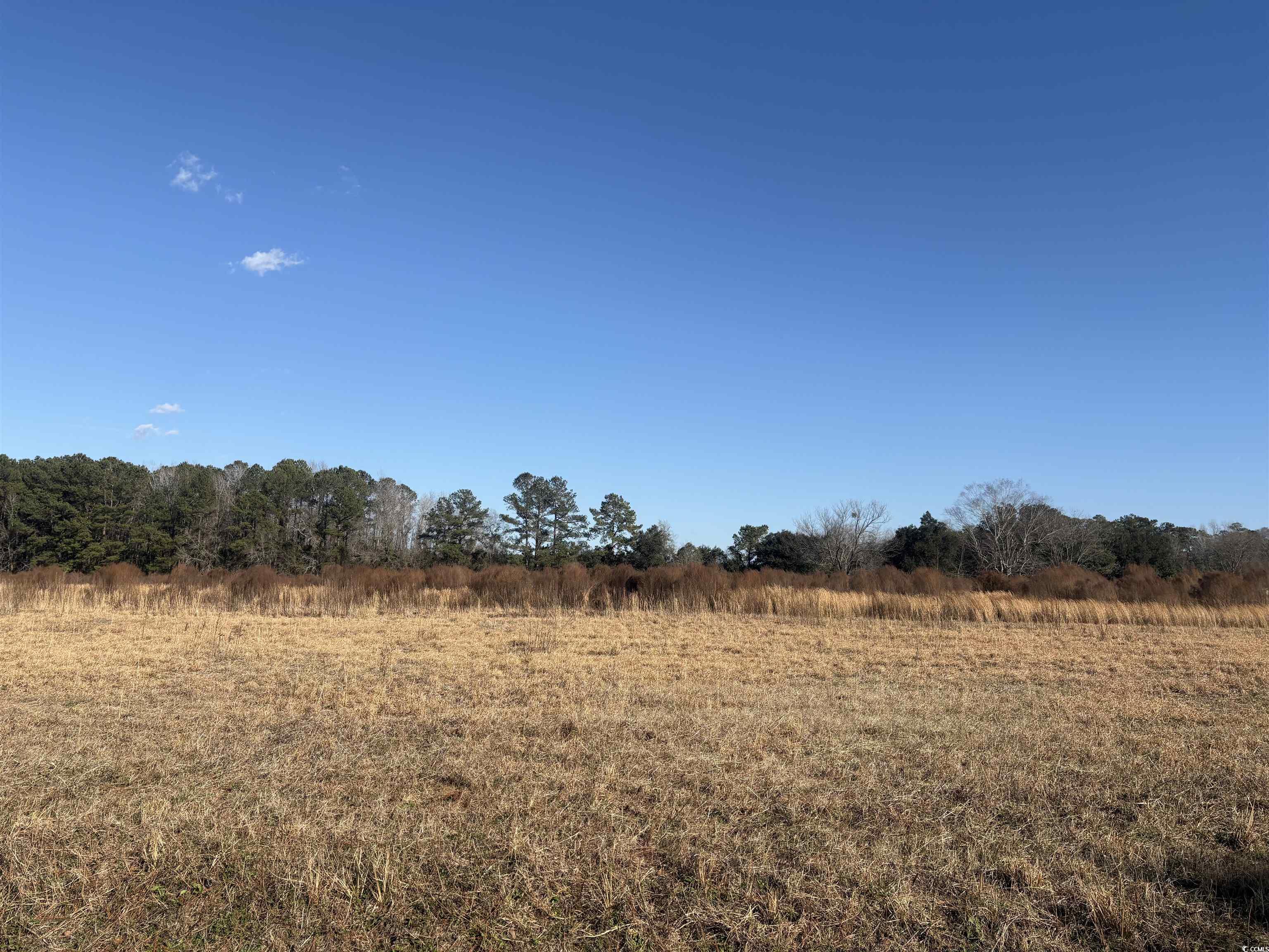 TBD Lot 2 Jewel Ln. Conway, SC 29527