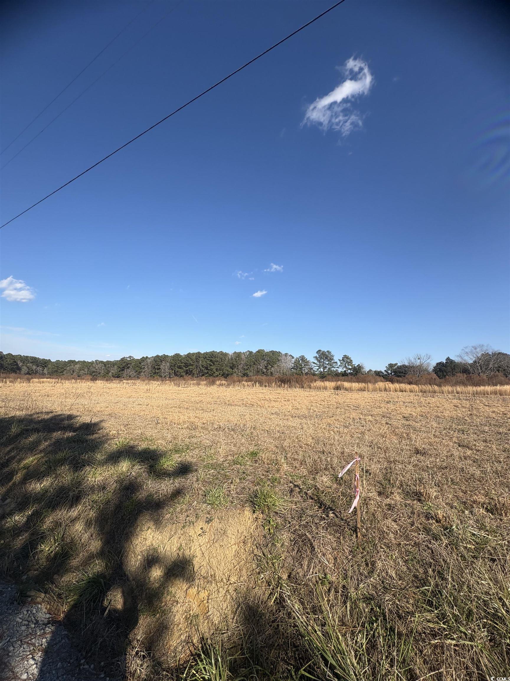 TBD Lot 2 Jewel Ln., Conway, South Carolina image 4