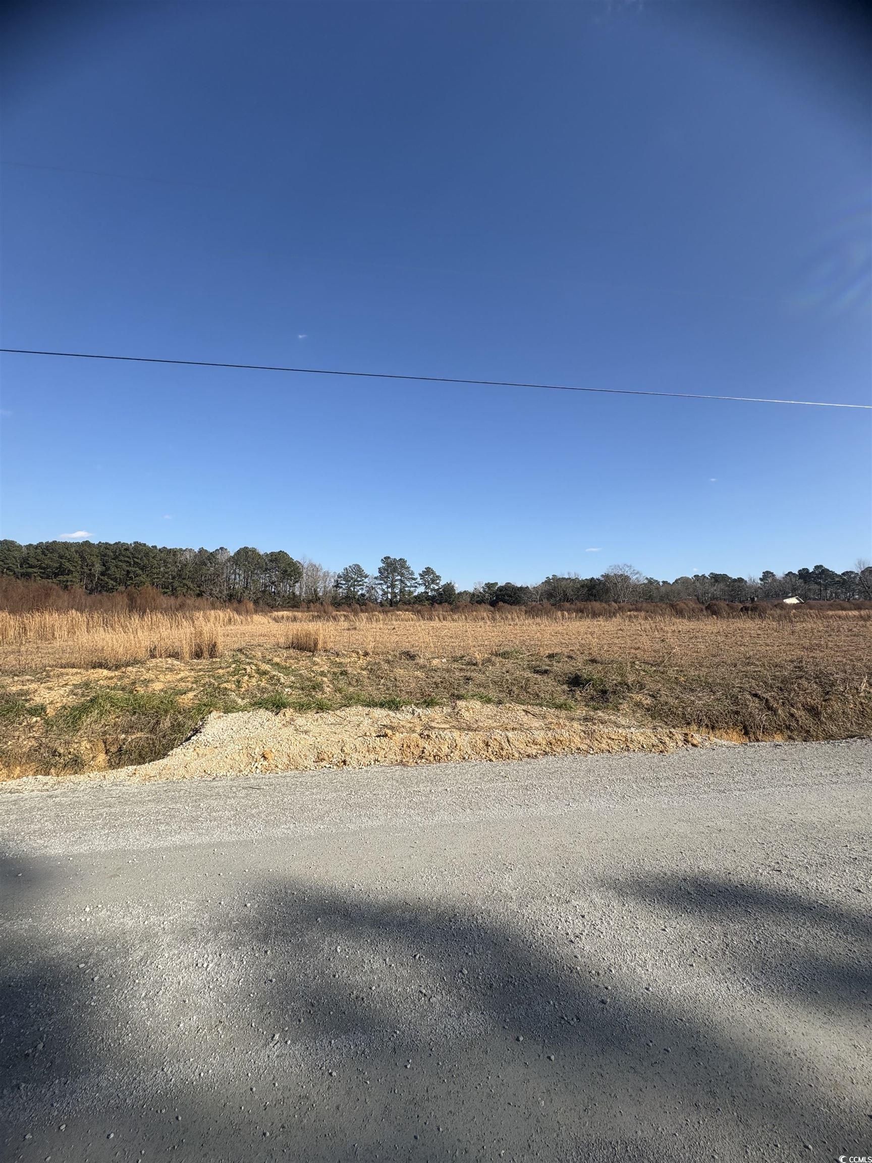 TBD Lot 3 Jewel Ln., Conway, South Carolina image 4