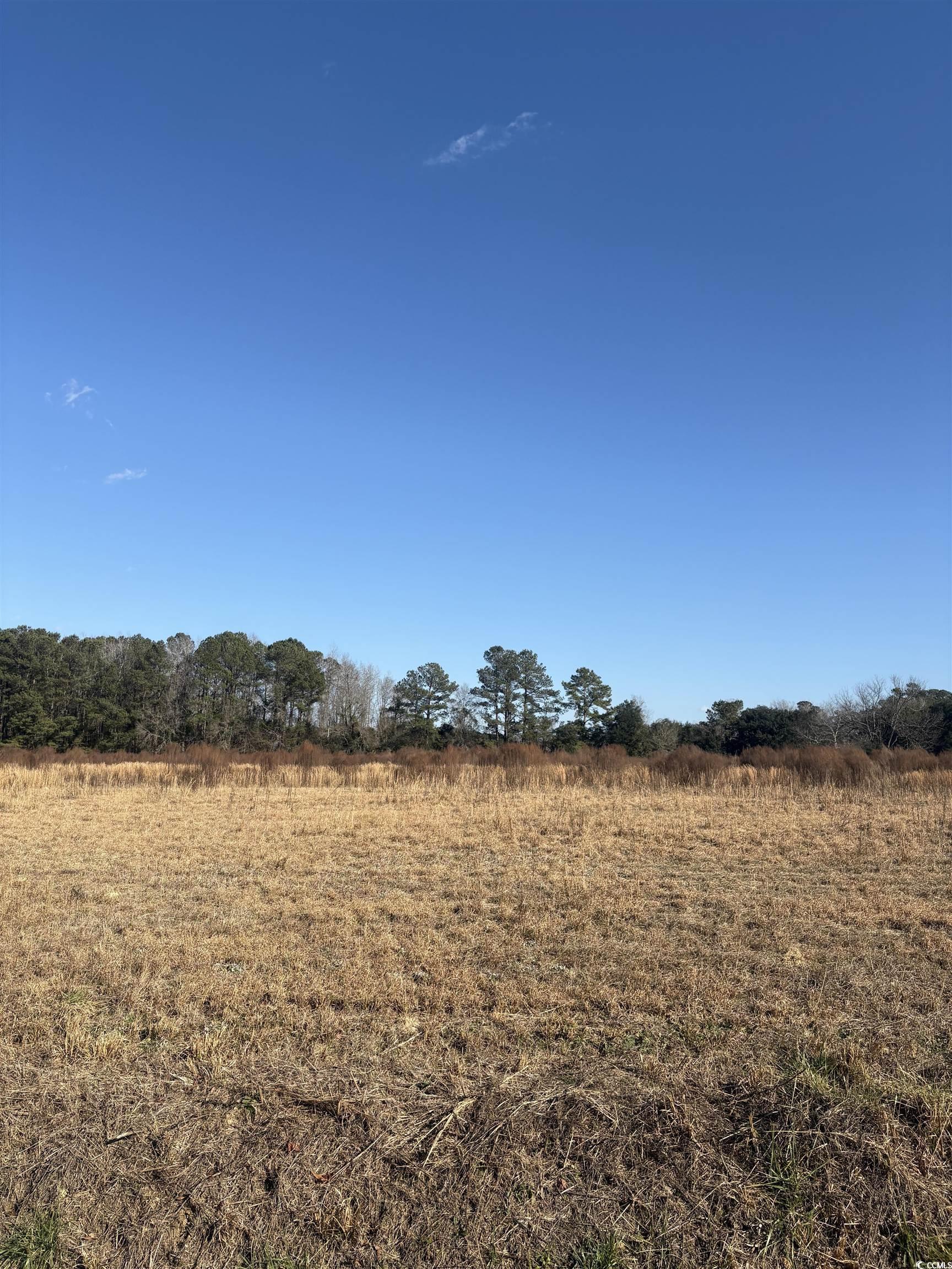 TBD Lot 3 Jewel Ln., Conway, South Carolina image 7