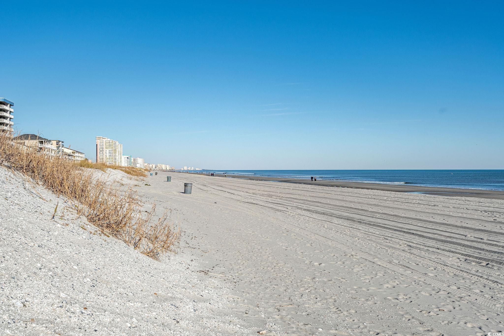 3610 S Ocean Blvd. #316, North Myrtle Beach, South Carolina image 28