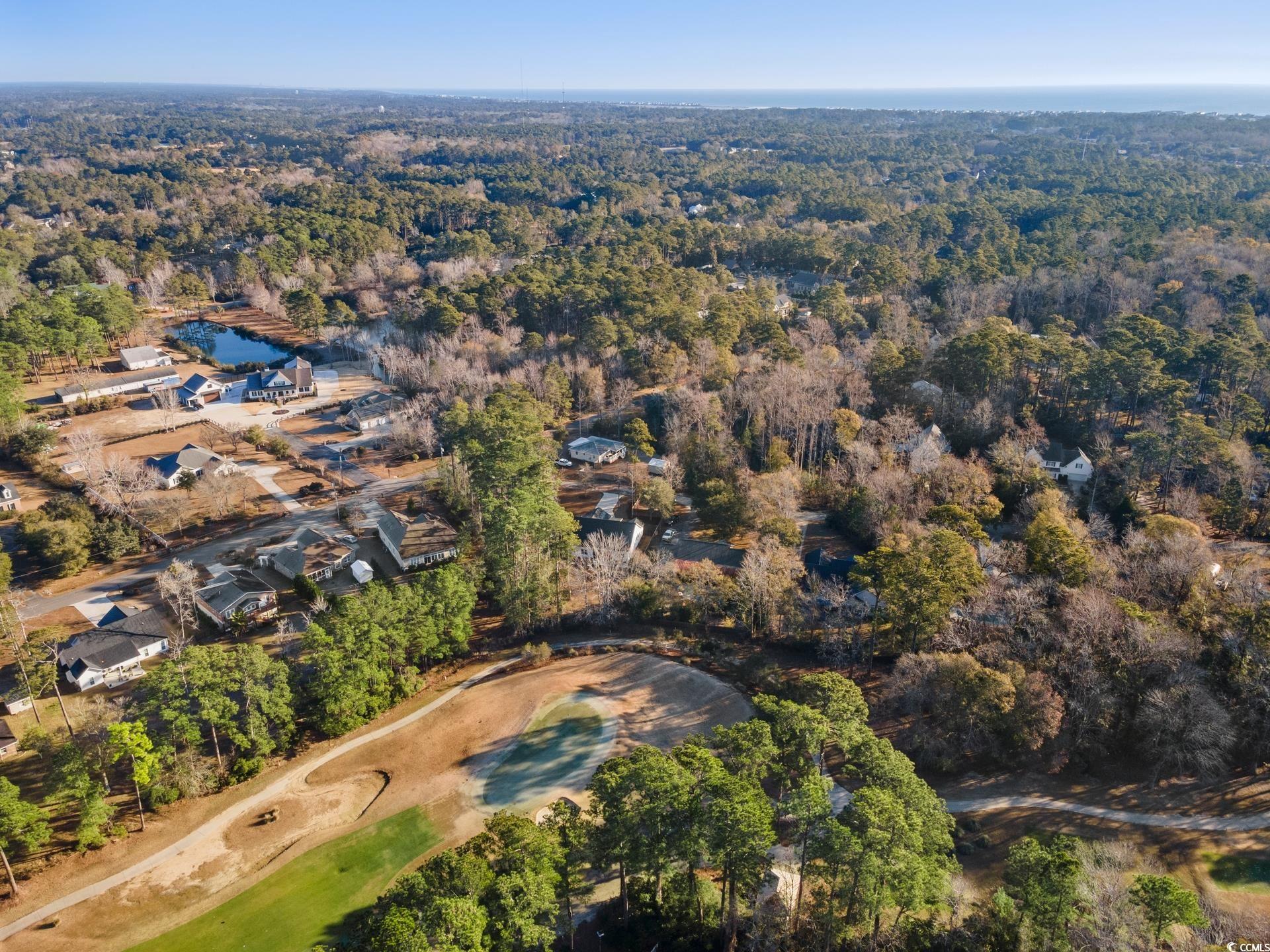 34 Pipedown Way, Pawleys Island, South Carolina image 31