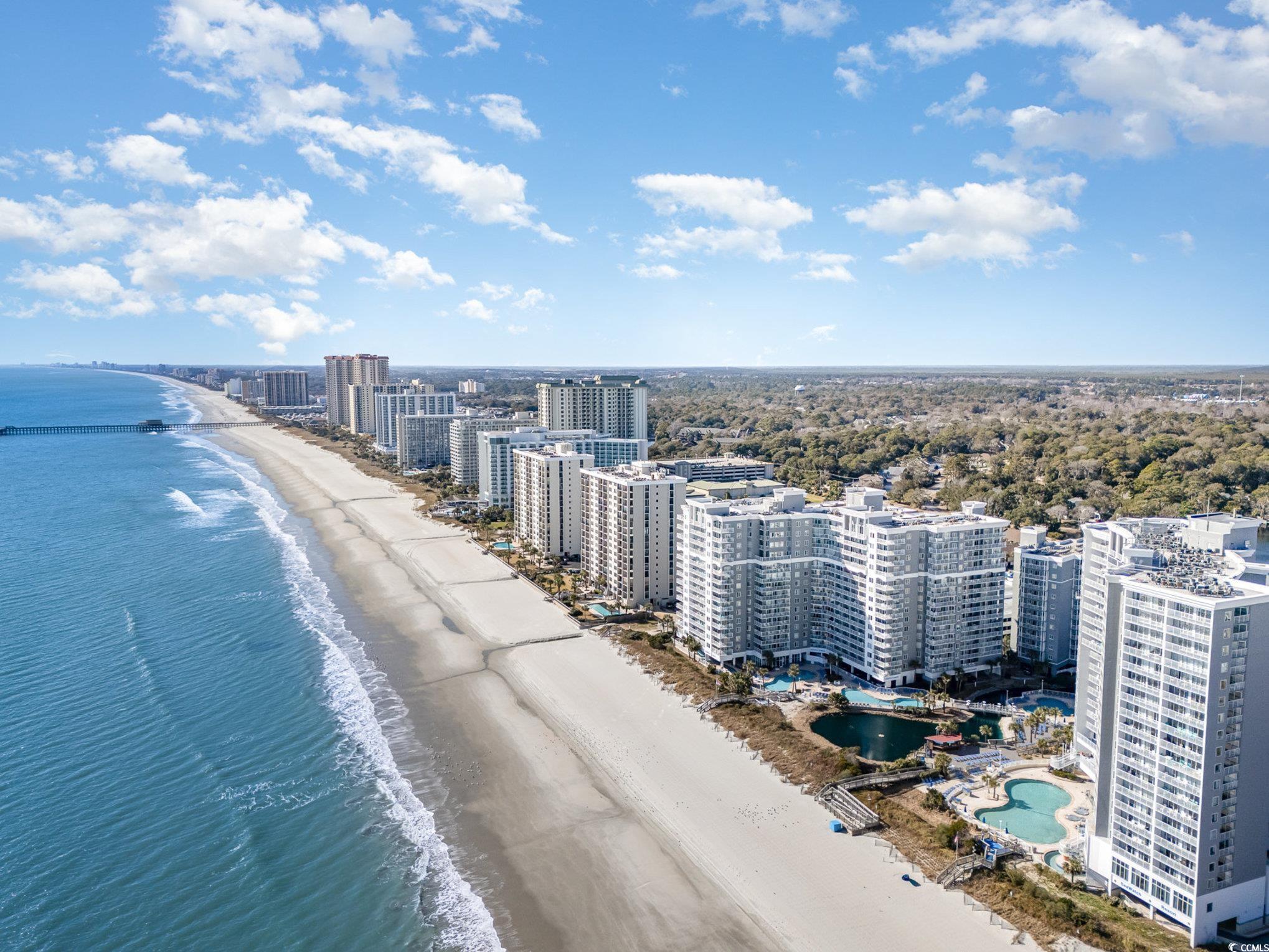 161 Seawatch Dr. #610, Myrtle Beach, South Carolina image 21