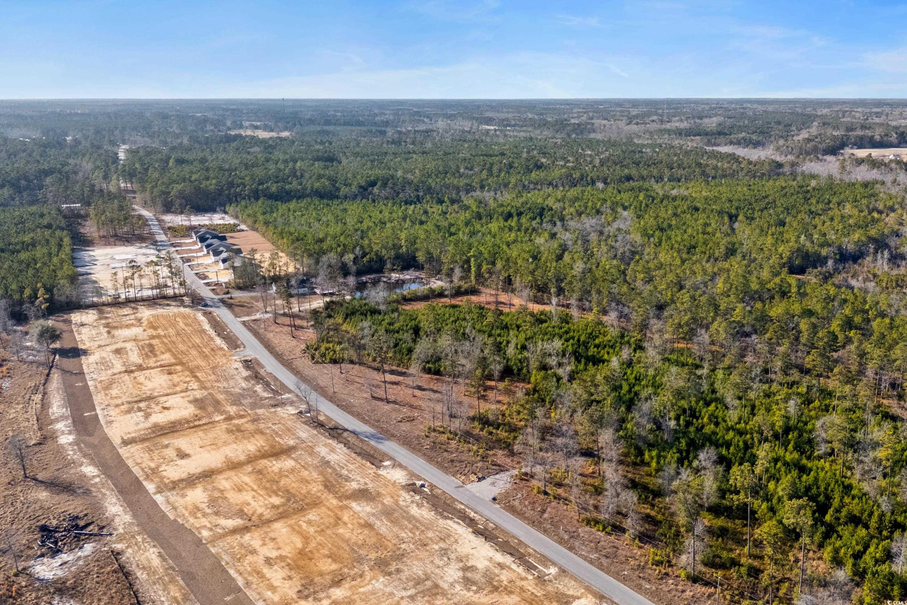 4789 Huckleberry Ln., Conway, South Carolina image 8