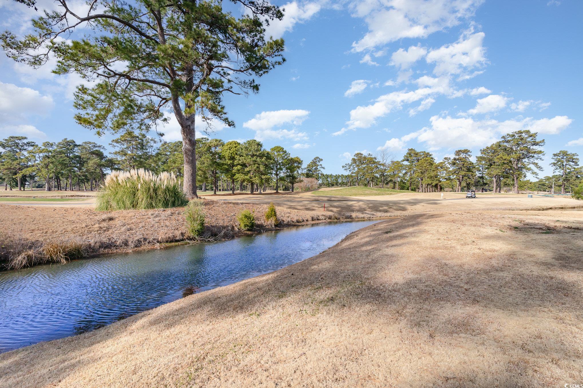 4781 Wild Iris Dr. #304, Myrtle Beach, South Carolina image 37