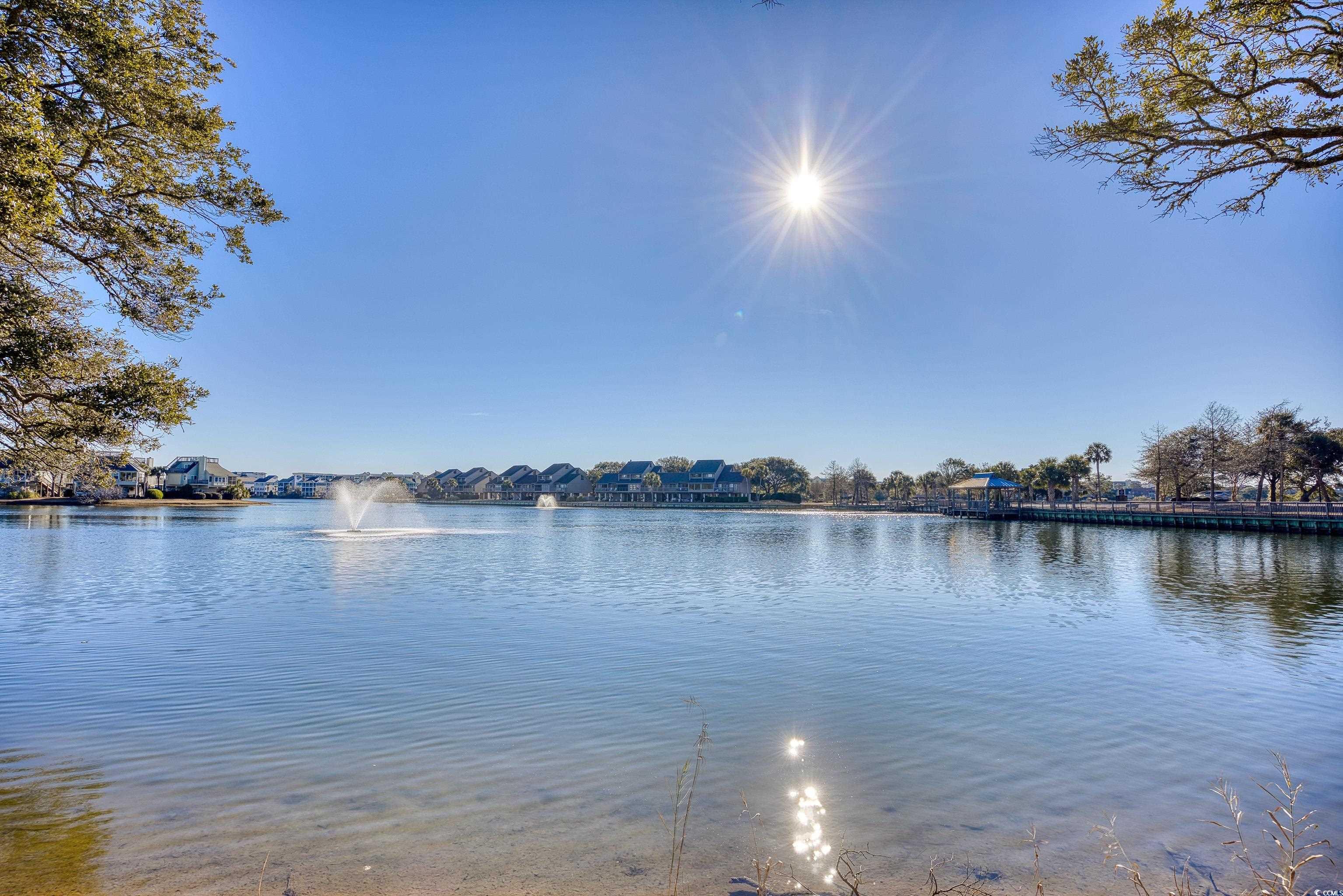 19 Cattail Ct. #2B, Pawleys Island, South Carolina image 12