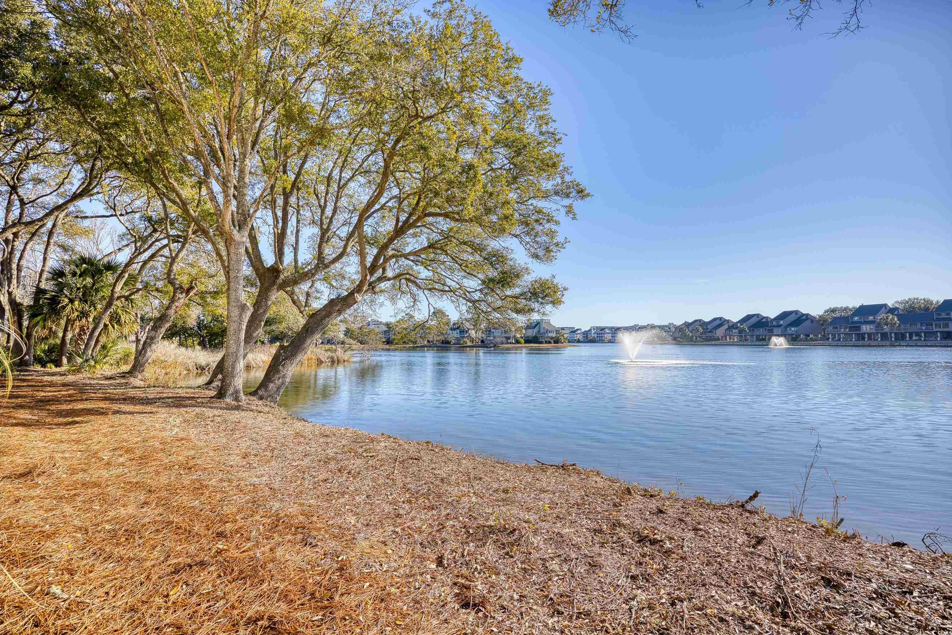 19 Cattail Ct. #2B, Pawleys Island, South Carolina image 30