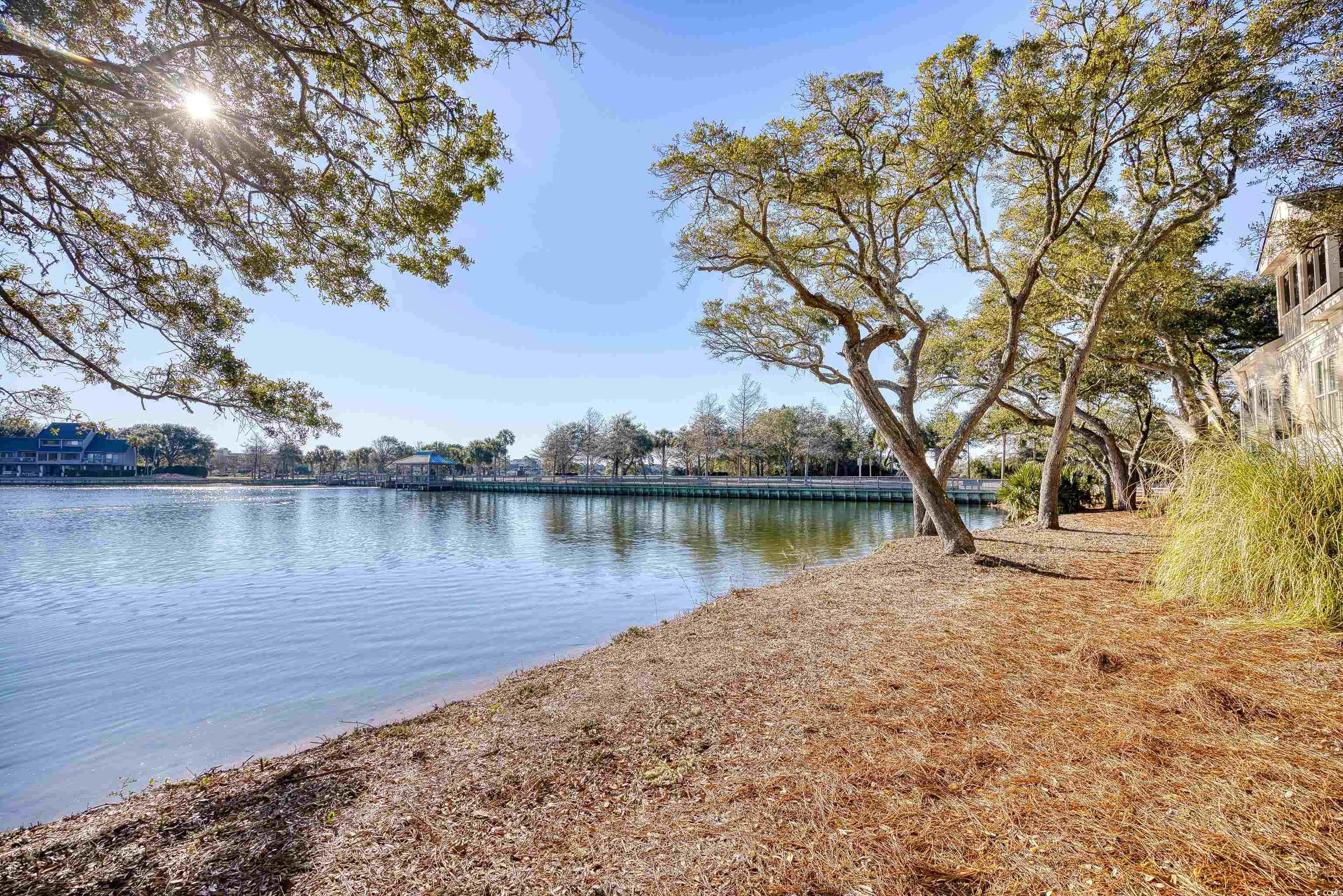 19 Cattail Ct. #2B, Pawleys Island, South Carolina image 31