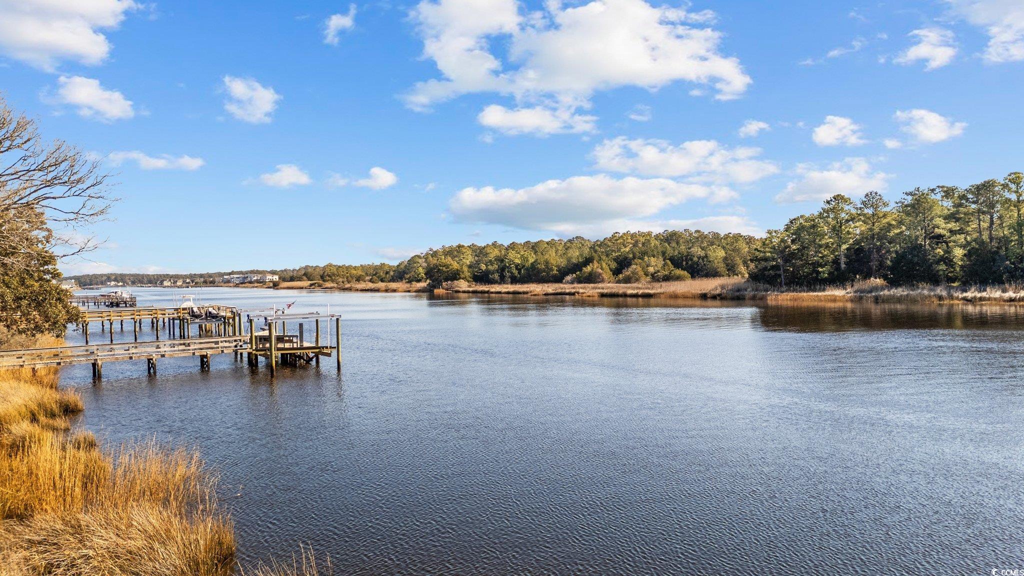 4552 River Rd., Little River, South Carolina image 40