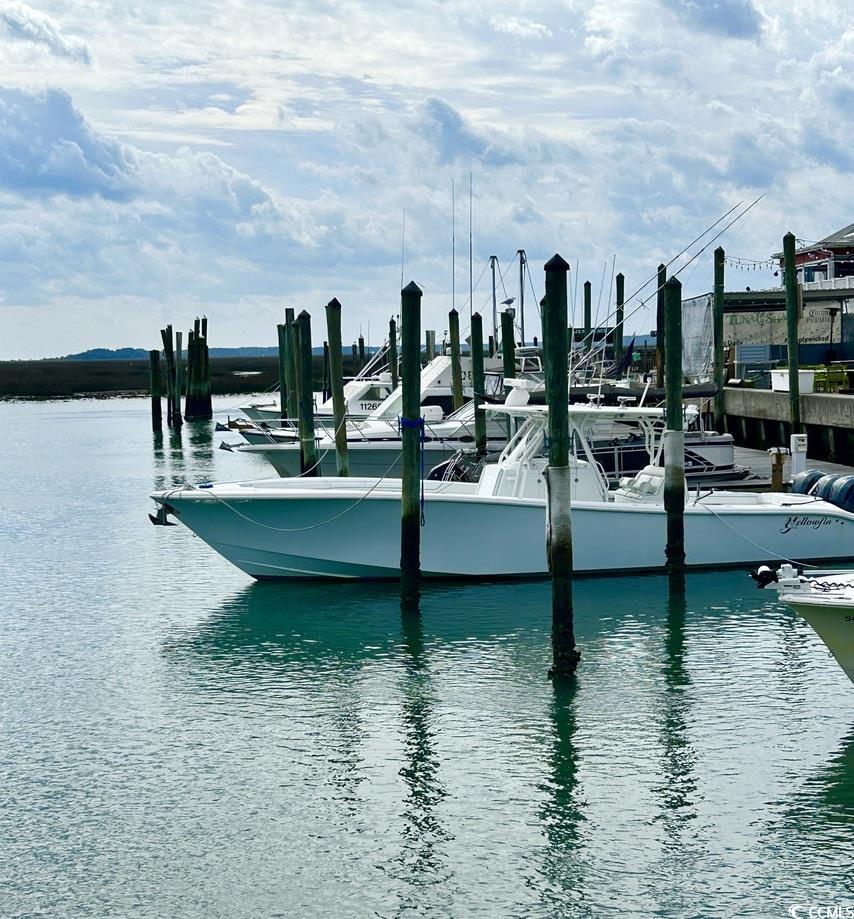 35 Delray Dr. #1-B, Murrells Inlet, South Carolina image 37